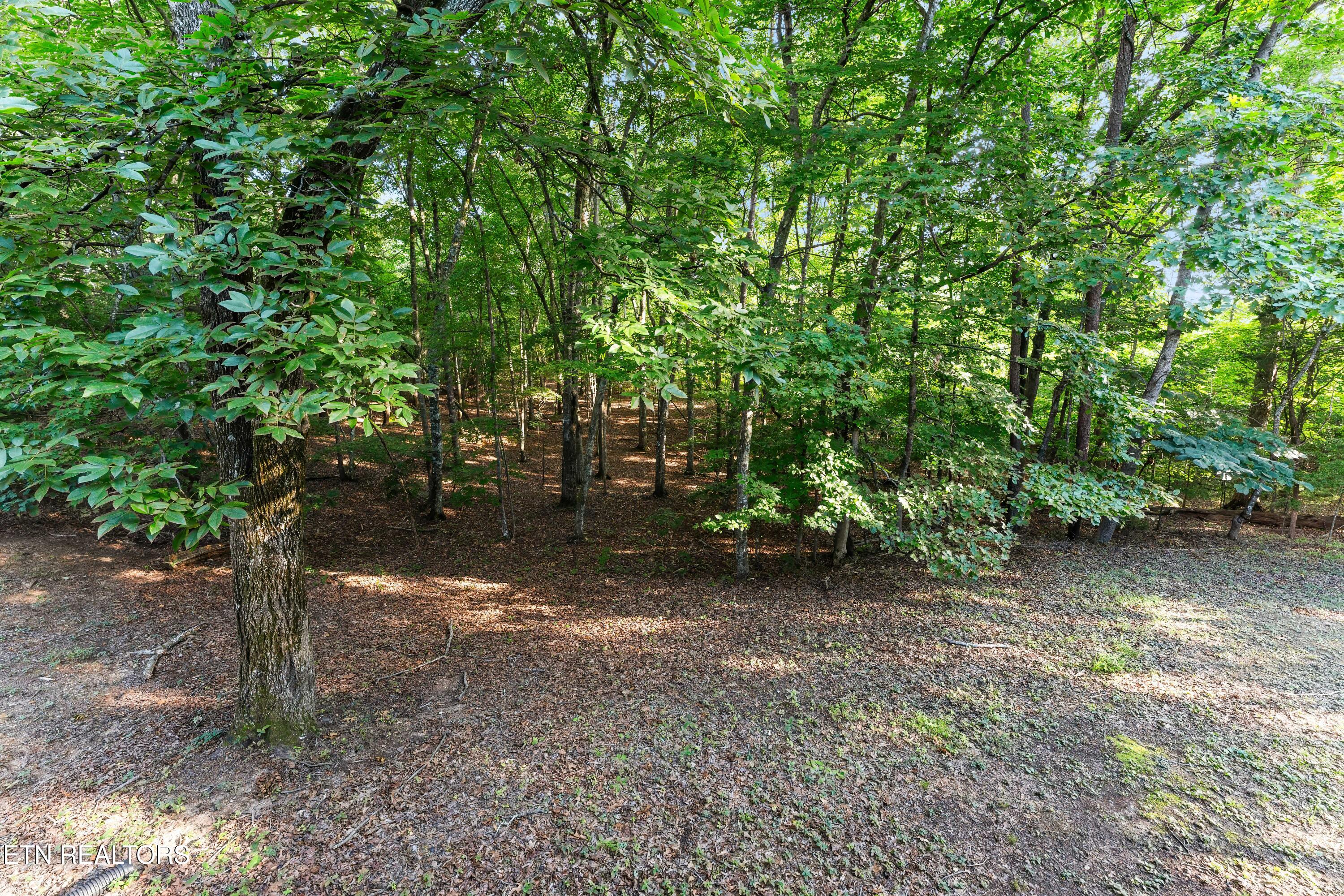 9809 Fairview Road Lenoir City TN 37772