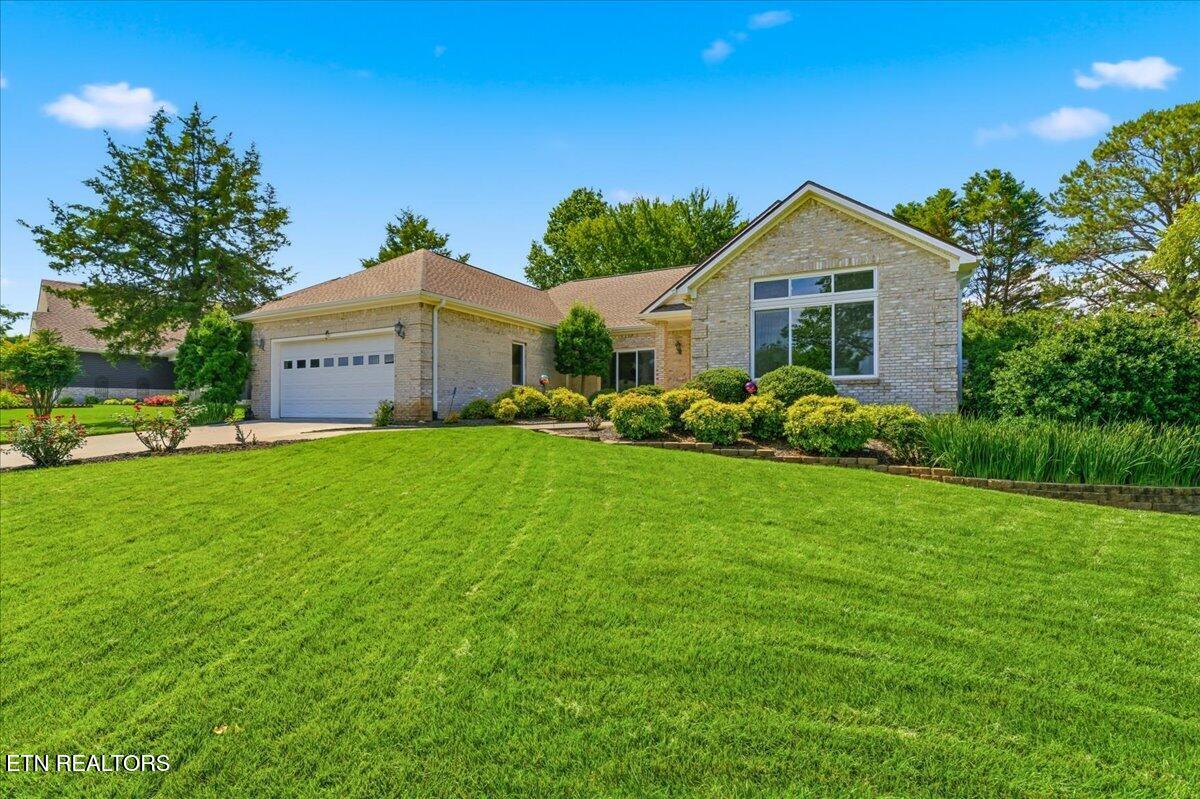 211 Chogi Lane Loudon TN 37774