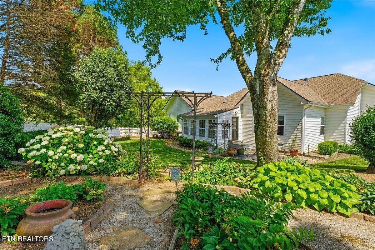 211 Chogi Lane Loudon TN 37774