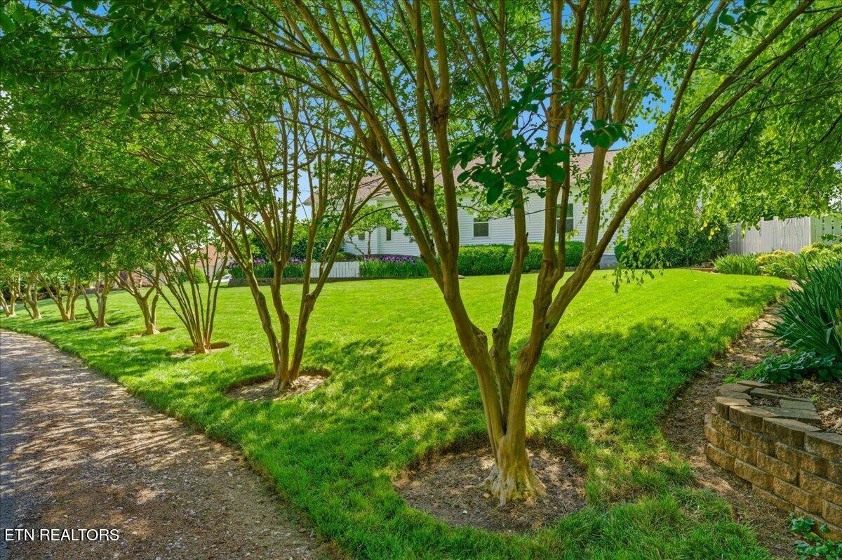 211 Chogi Lane Loudon TN 37774