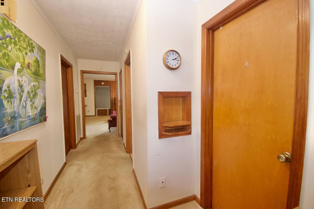 206 Hartford Road Knoxville TN 37920