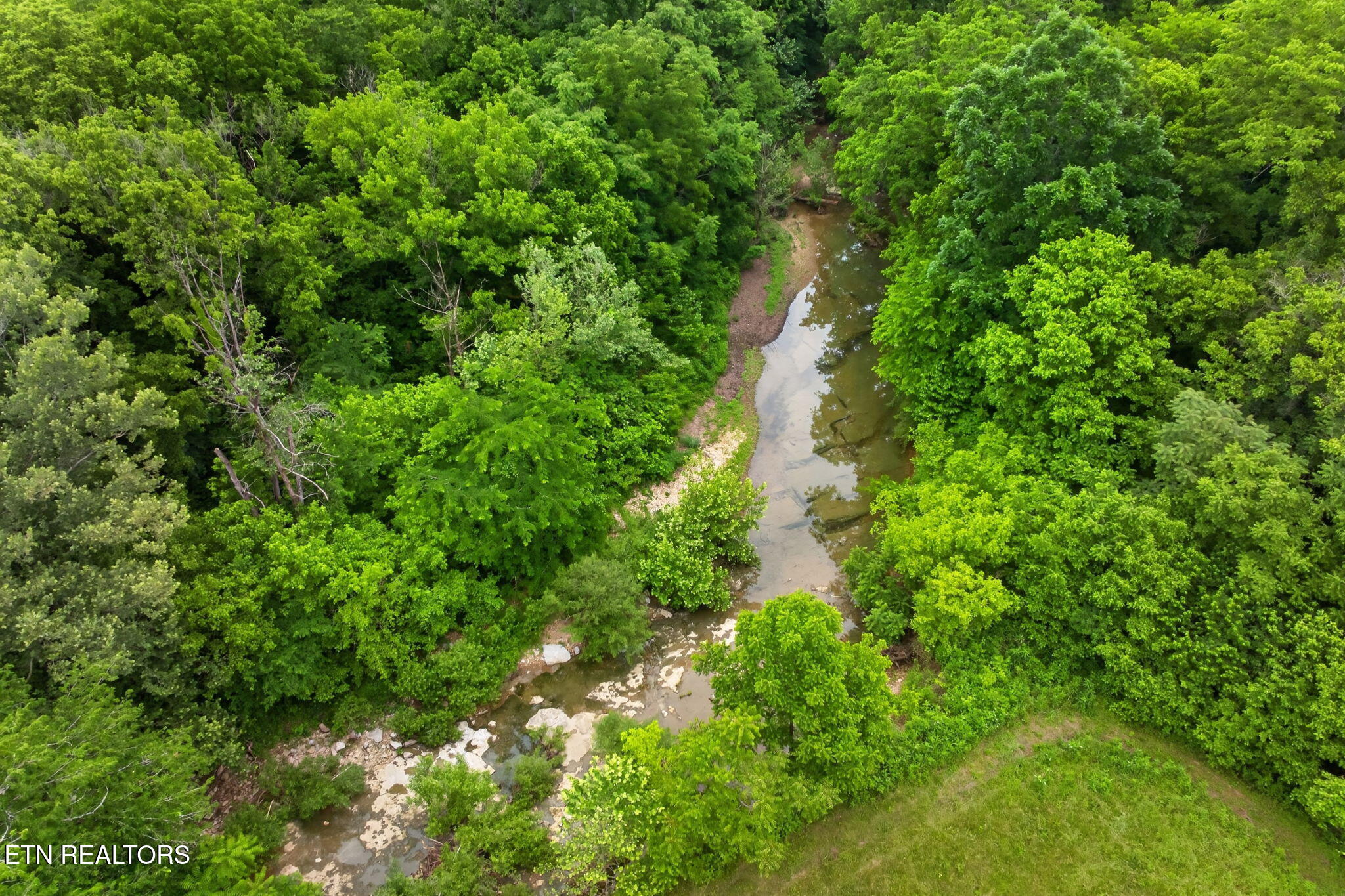 8029 Brimstone Creek Road Whitleyville TN 38588