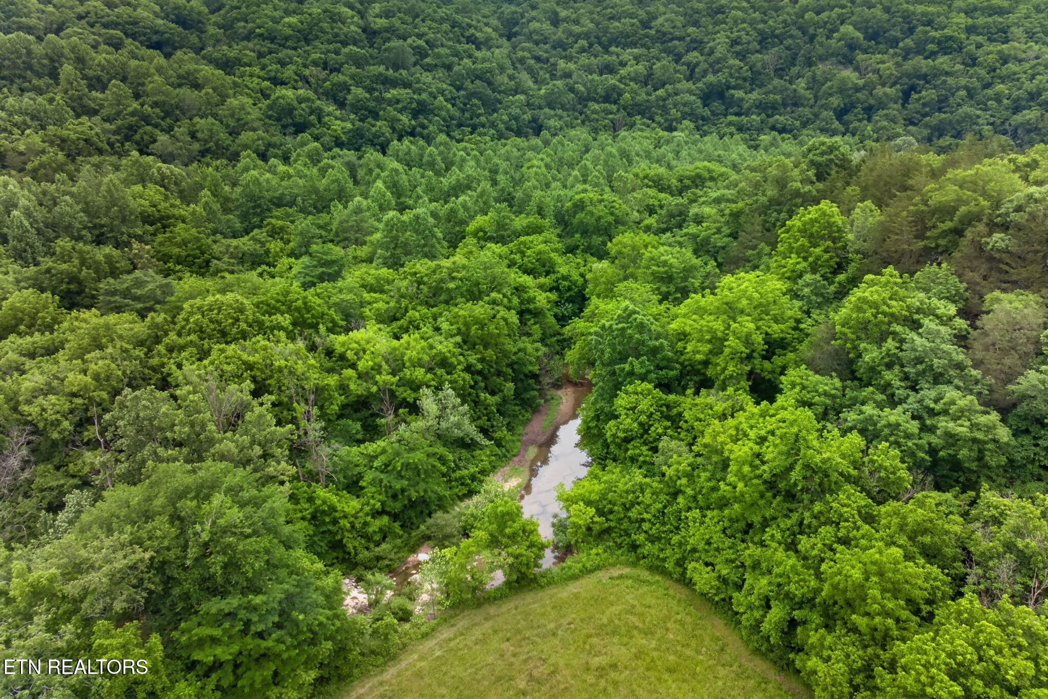8029 Brimstone Creek Road Whitleyville TN 38588