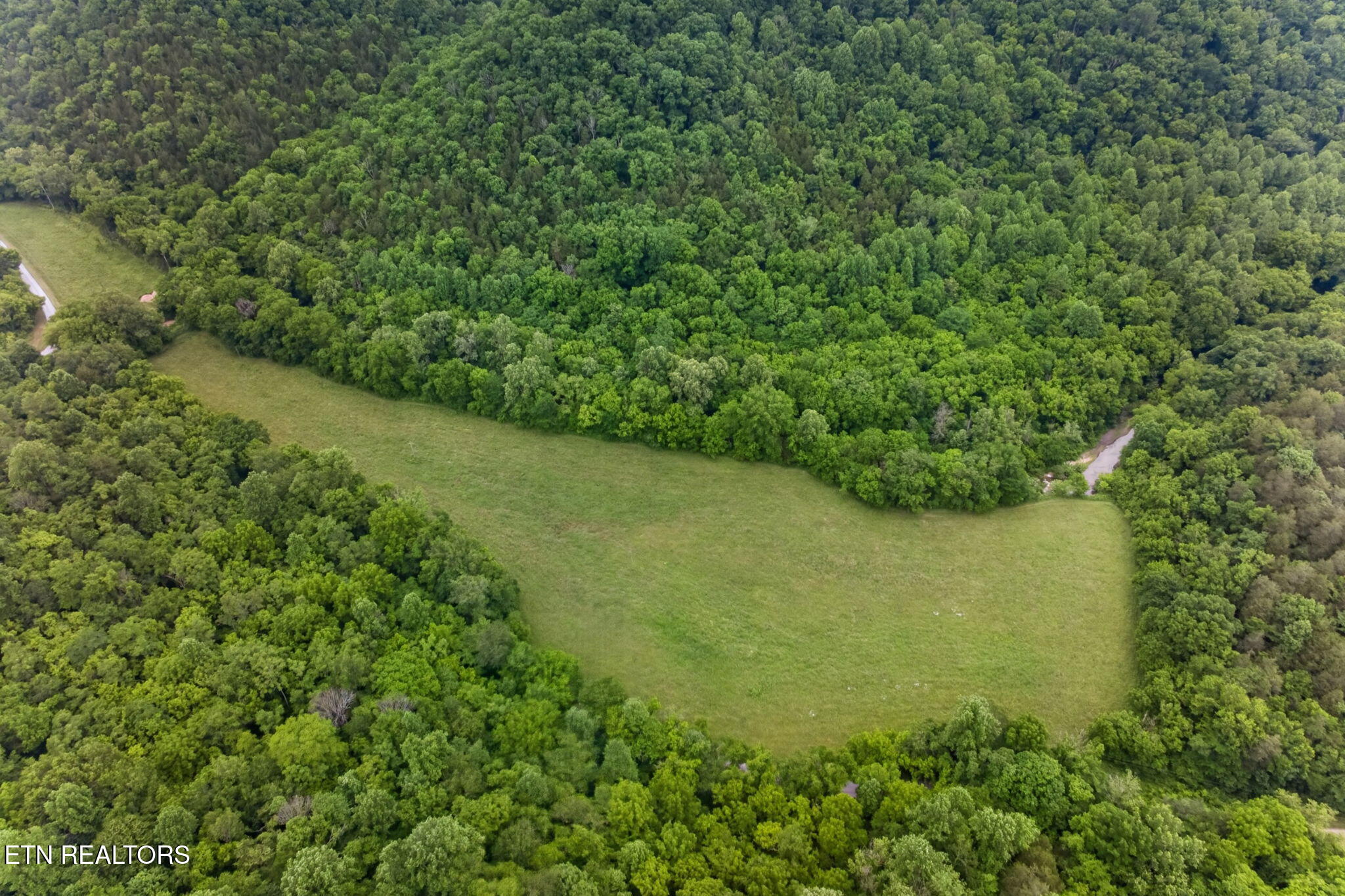 8029 Brimstone Creek Road Whitleyville TN 38588