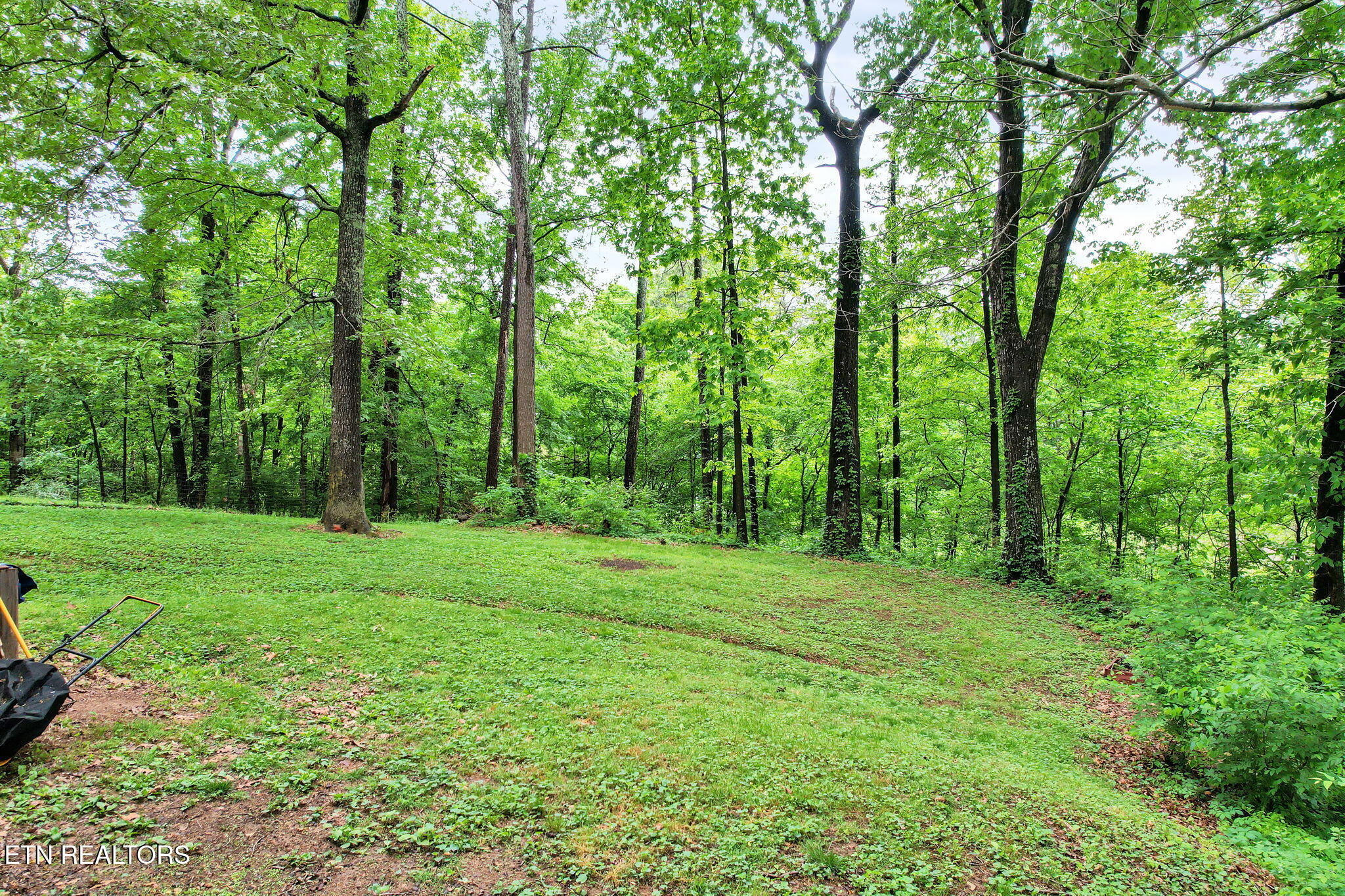 3975 NE Lynncrest Drive Cleveland TN 37323