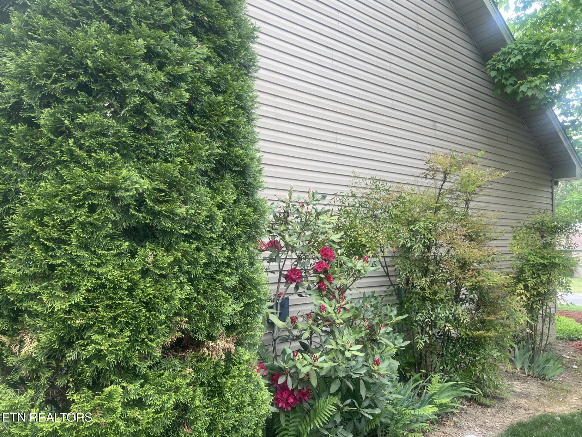 25 Brooks Lane Crossville TN 38558