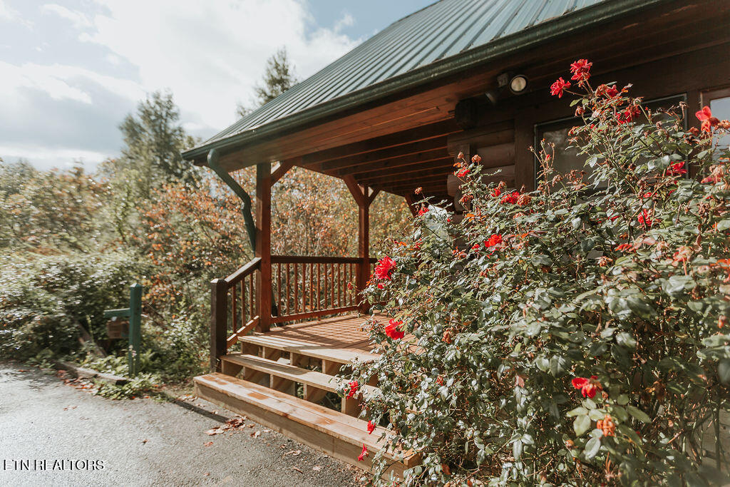 322 Brown Wren Way Gatlinburg TN 37738