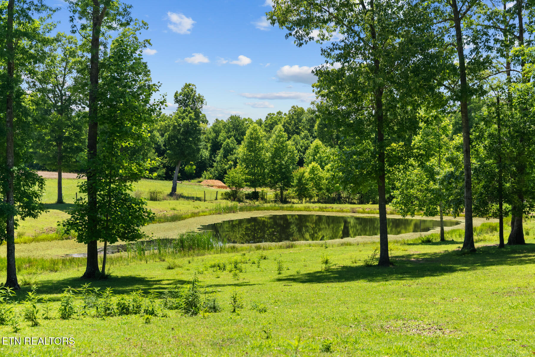 5171 Wilder Road Grimsley TN 38565