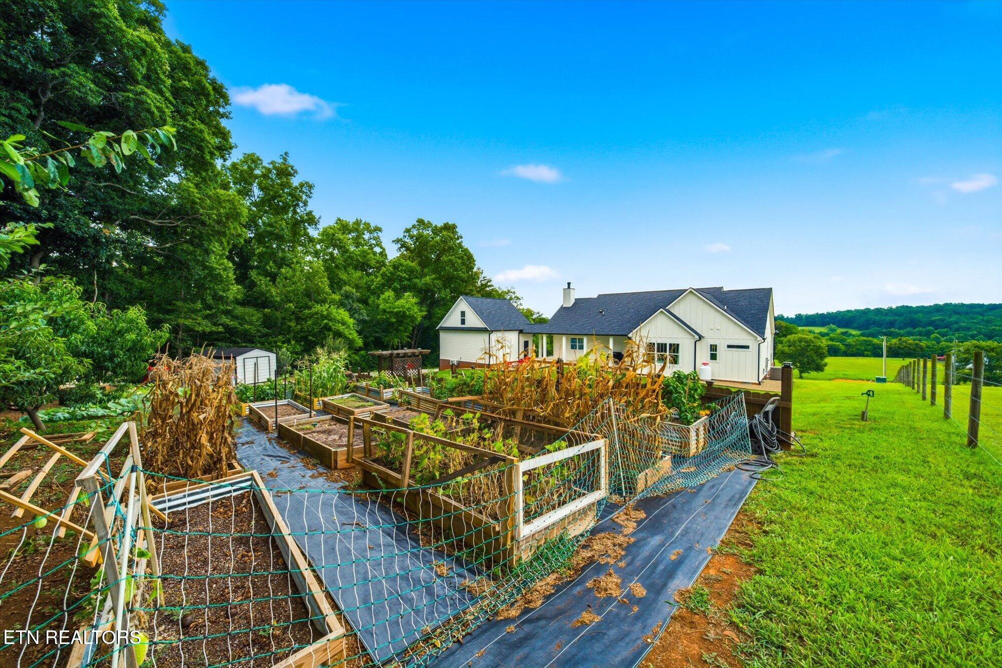 3817 Peterson Road Greenback TN 37742