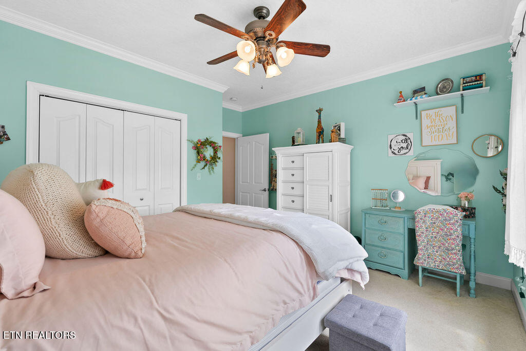 210 Indian Shadows Drive Maryville TN 37801