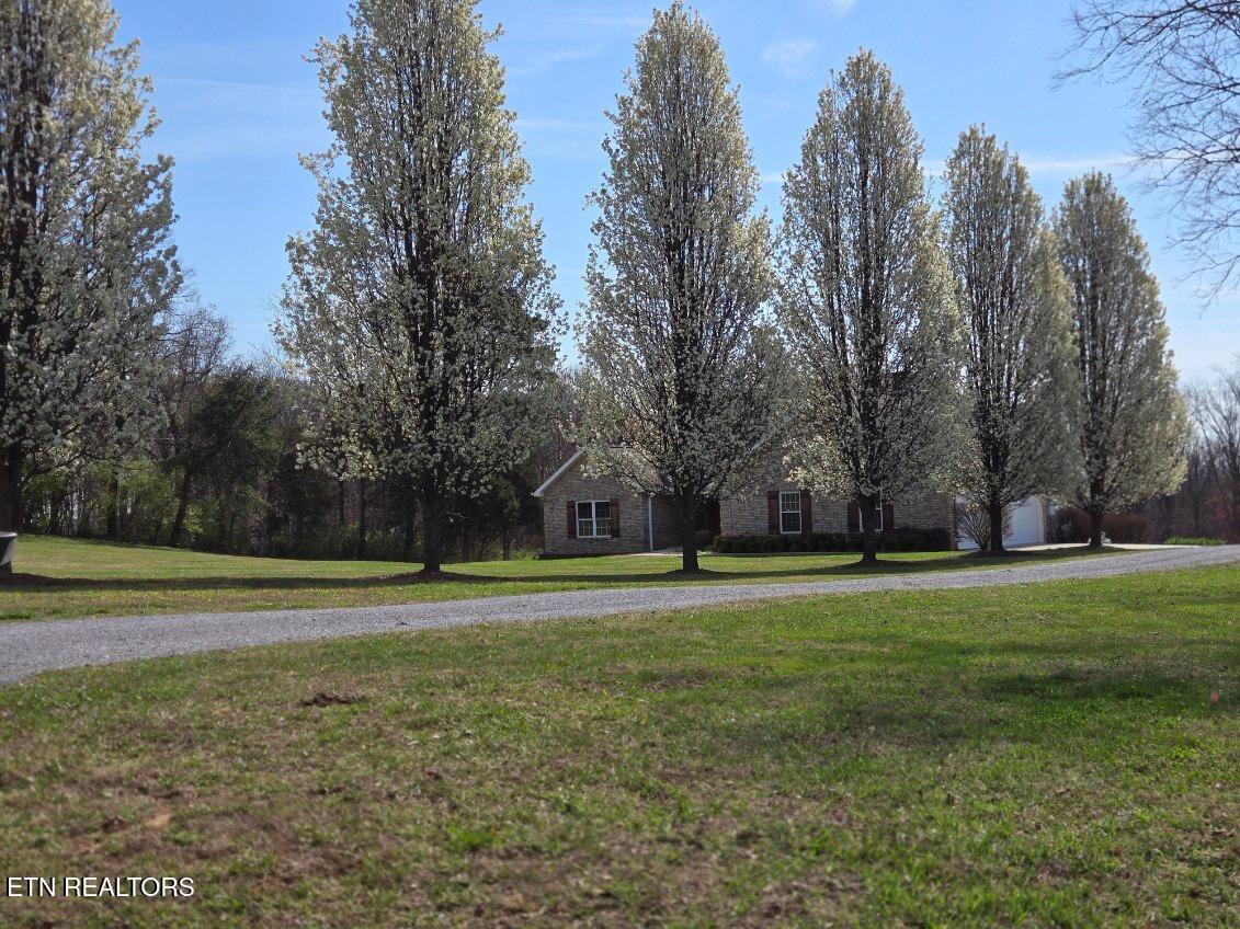 6742 Ridgeview Road Knoxville TN 37918
