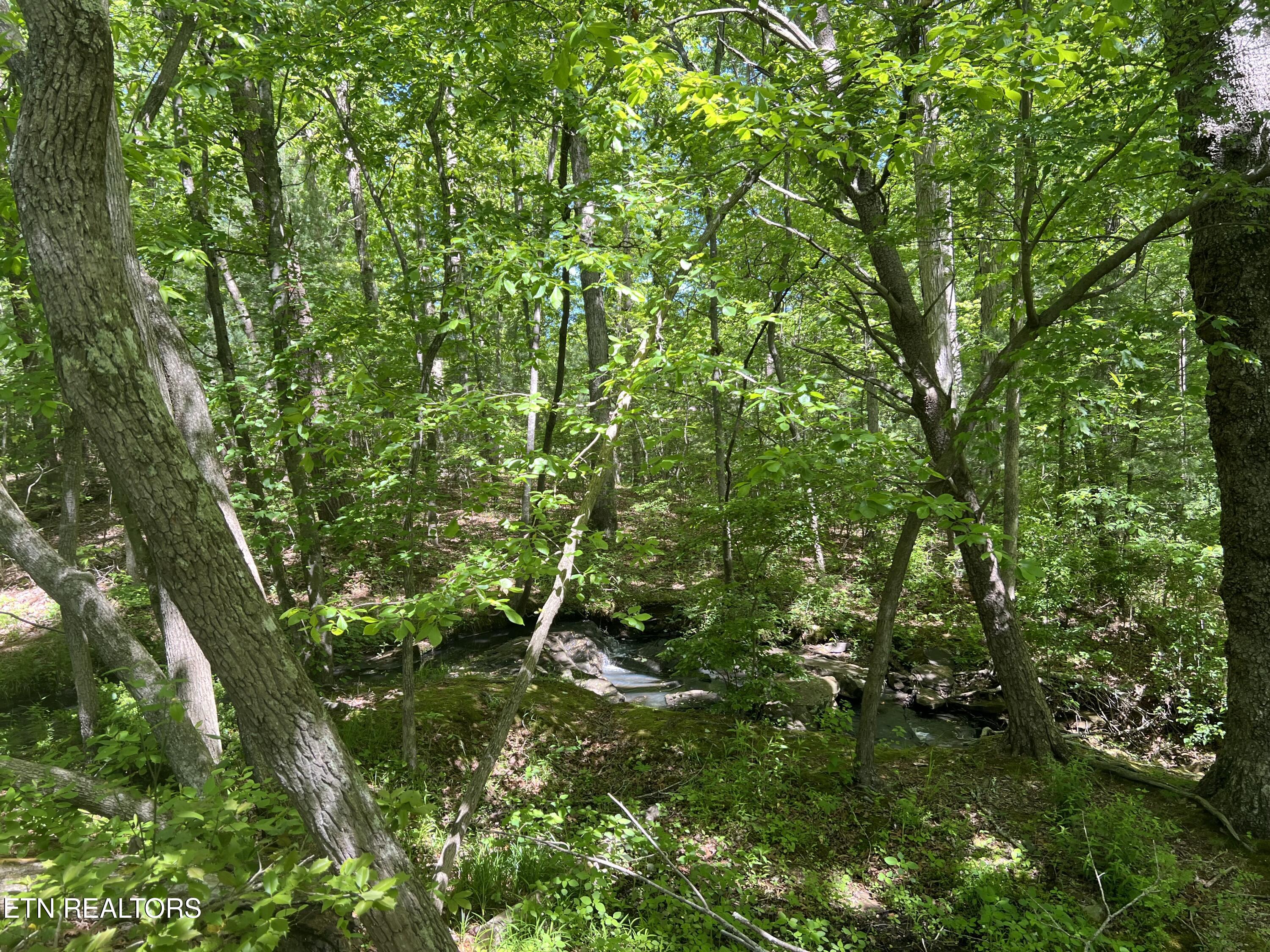 405 Halstead Drive Crossville TN 38555
