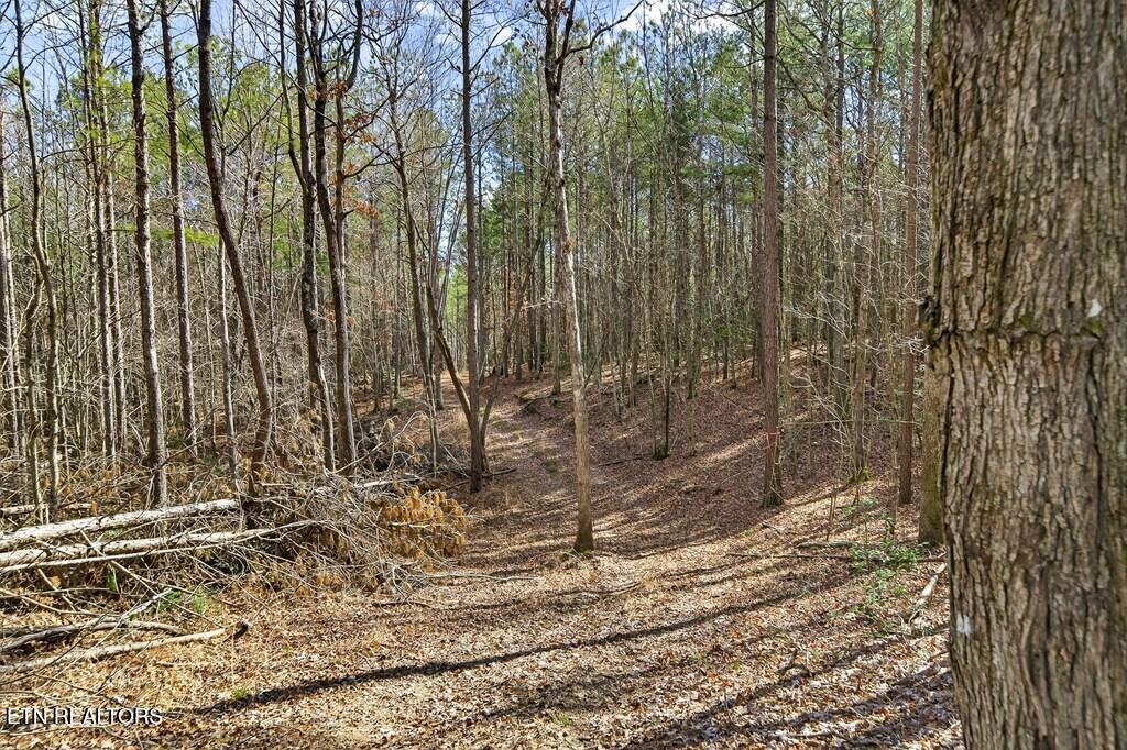 1780 Wolfhaven Road Spencer TN 38585