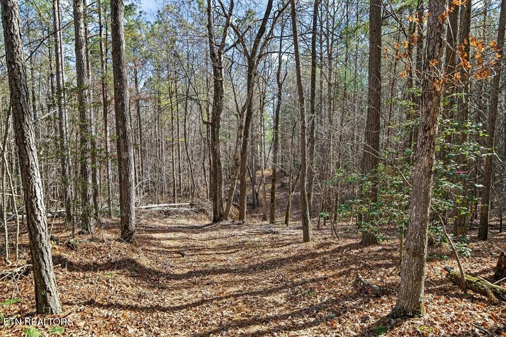 1780 Wolfhaven Road Spencer TN 38585