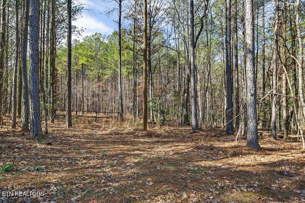 1780 Wolfhaven Road Spencer TN 38585