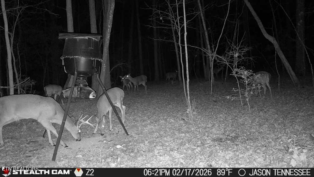 1780 Wolfhaven Road Spencer TN 38585