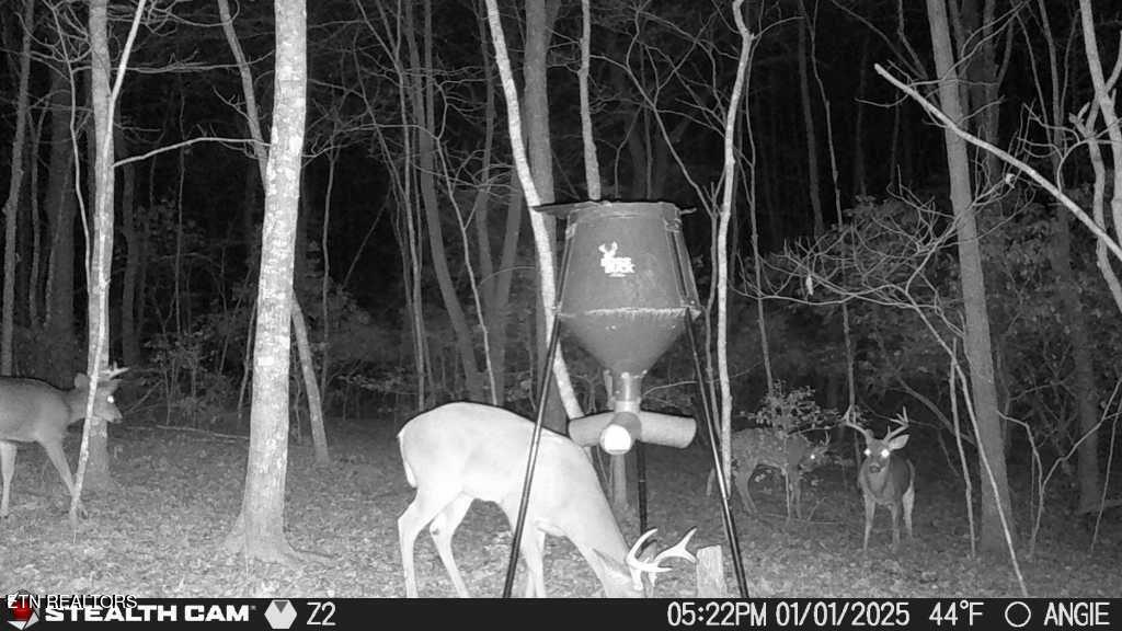 1780 Wolfhaven Road Spencer TN 38585