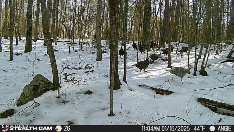 1780 Wolfhaven Road Spencer TN 38585