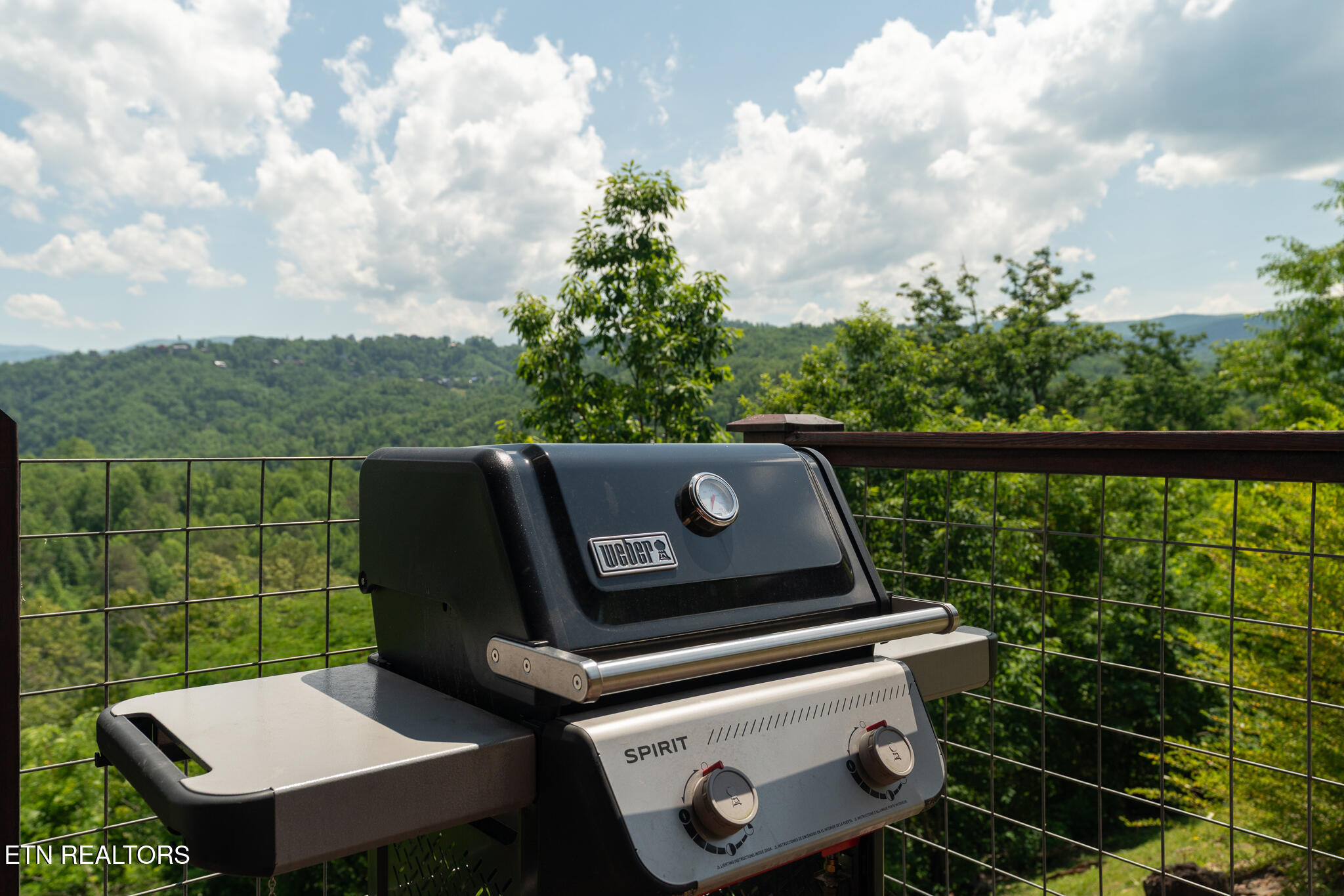 1252 Annes Road Gatlinburg TN 37738