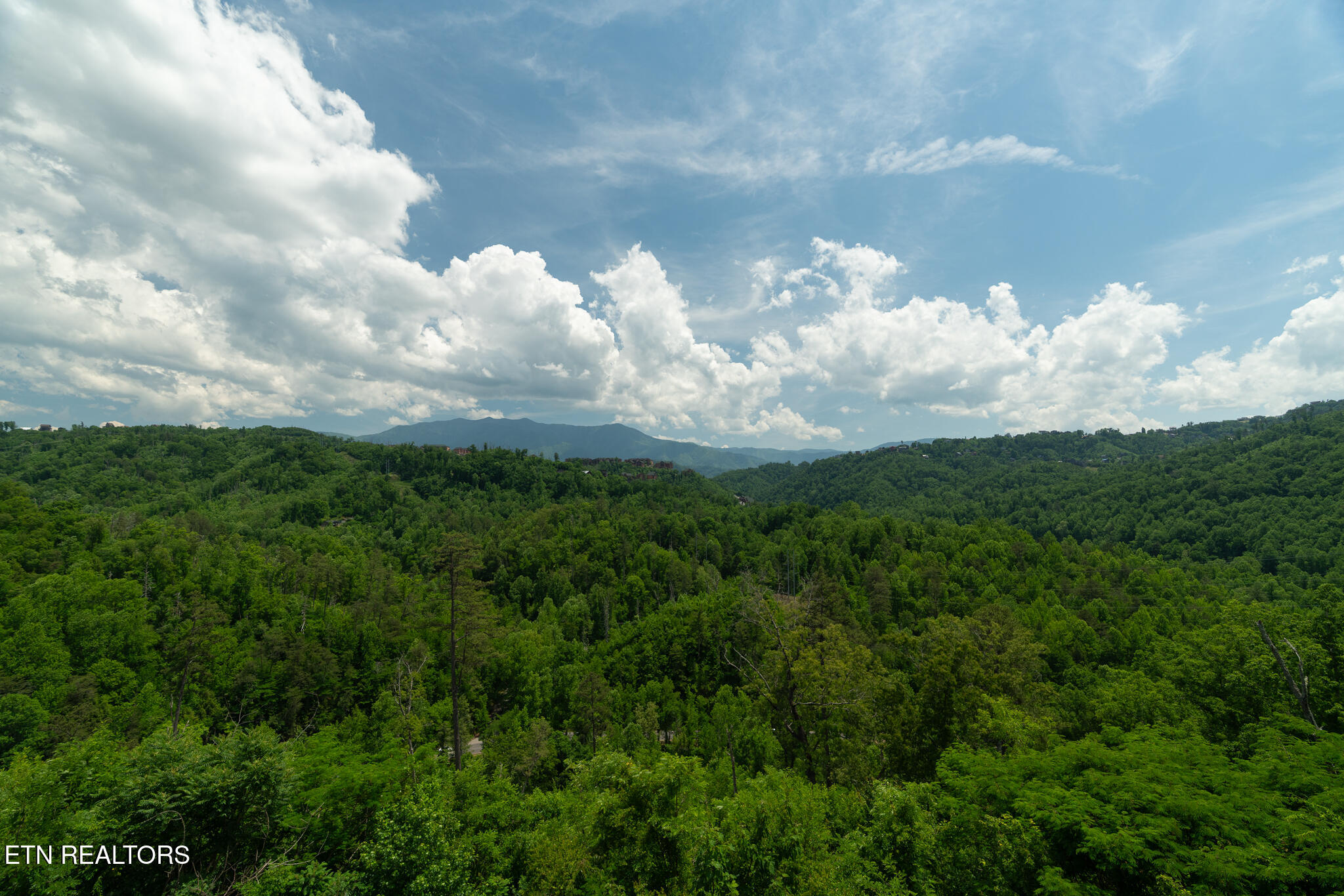 1252 Annes Road Gatlinburg TN 37738