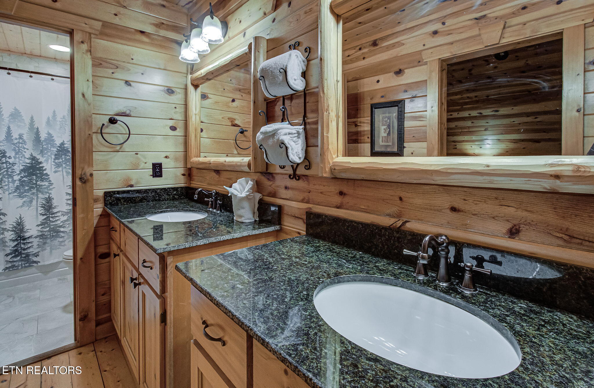 214 Forrest Loop Way Gatlinburg TN 37738