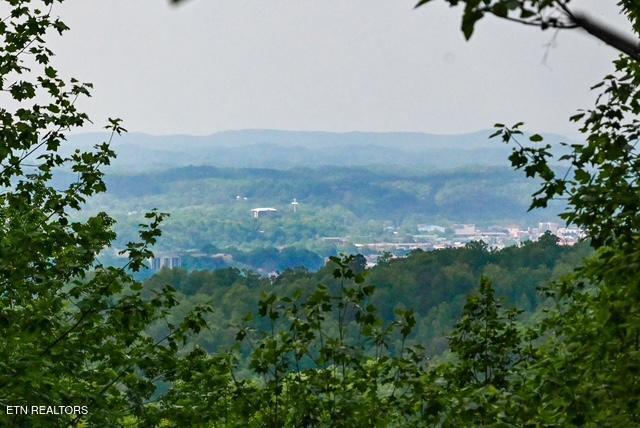 1444 Indian Court Sevierville TN 37876