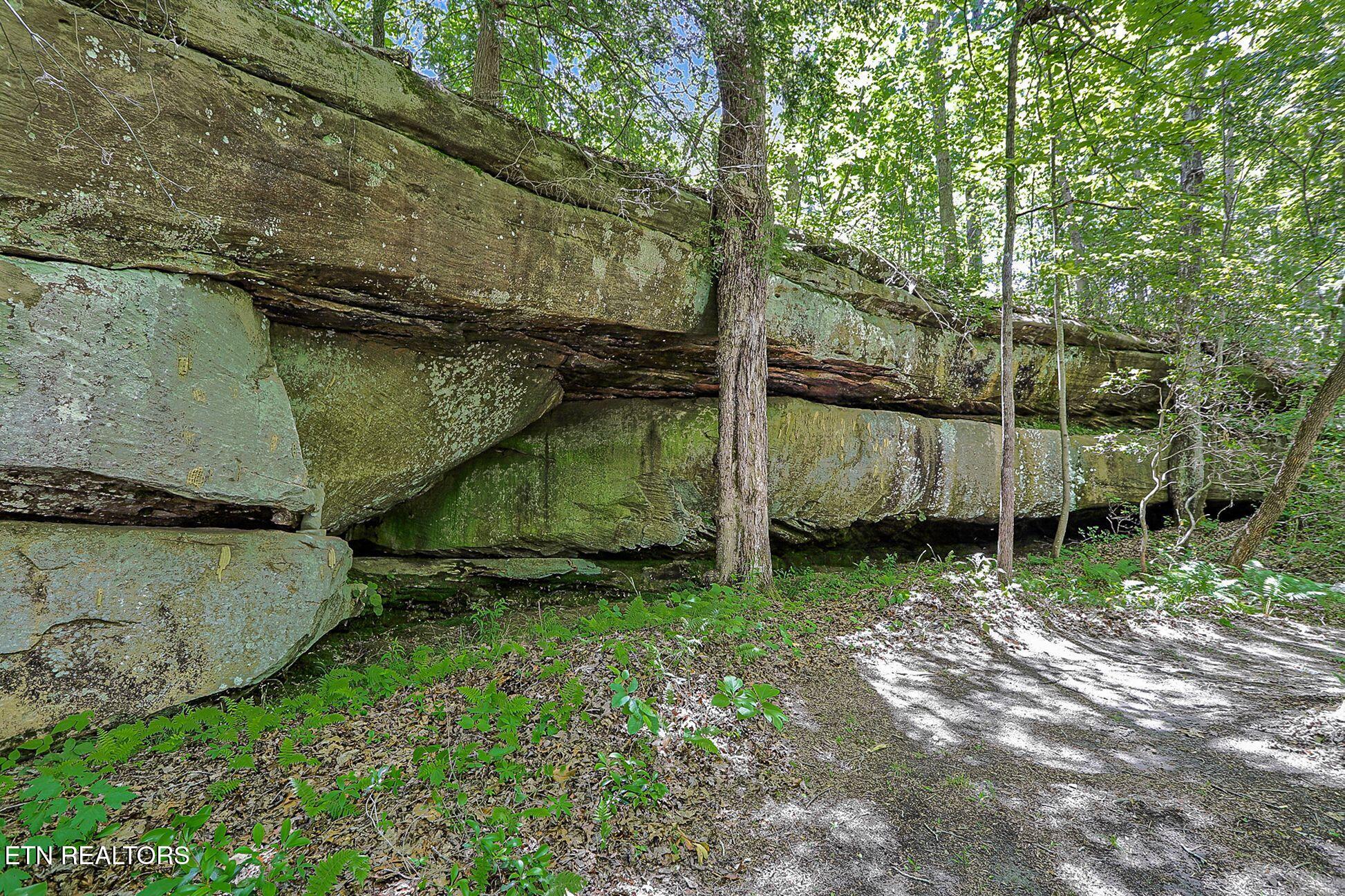 778 Stone Haven Trail Jamestown TN 38556