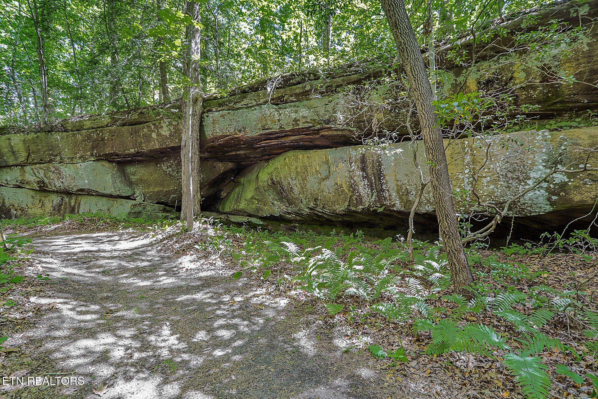 778 Stone Haven Trail Jamestown TN 38556