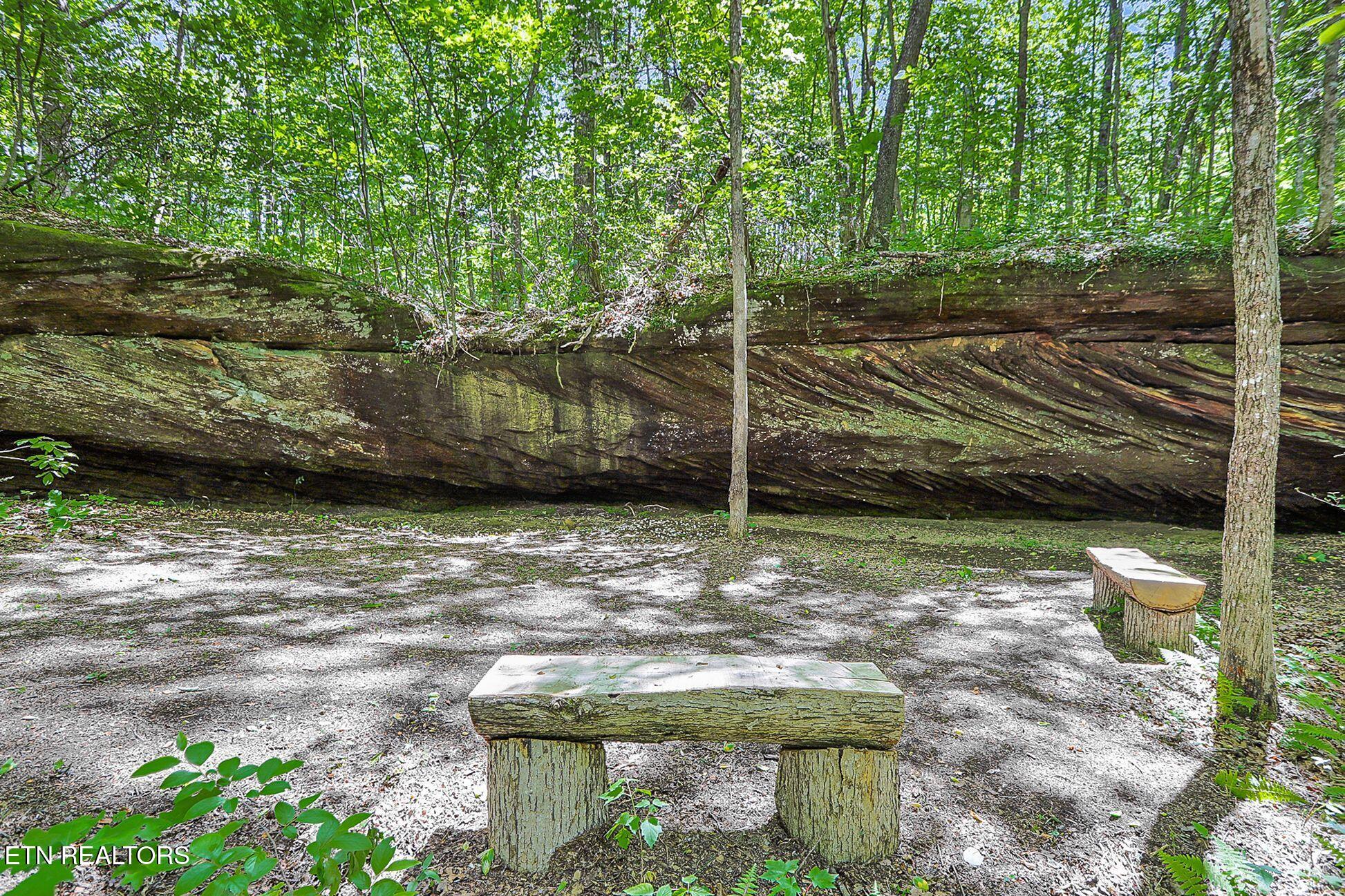 778 Stone Haven Trail Jamestown TN 38556