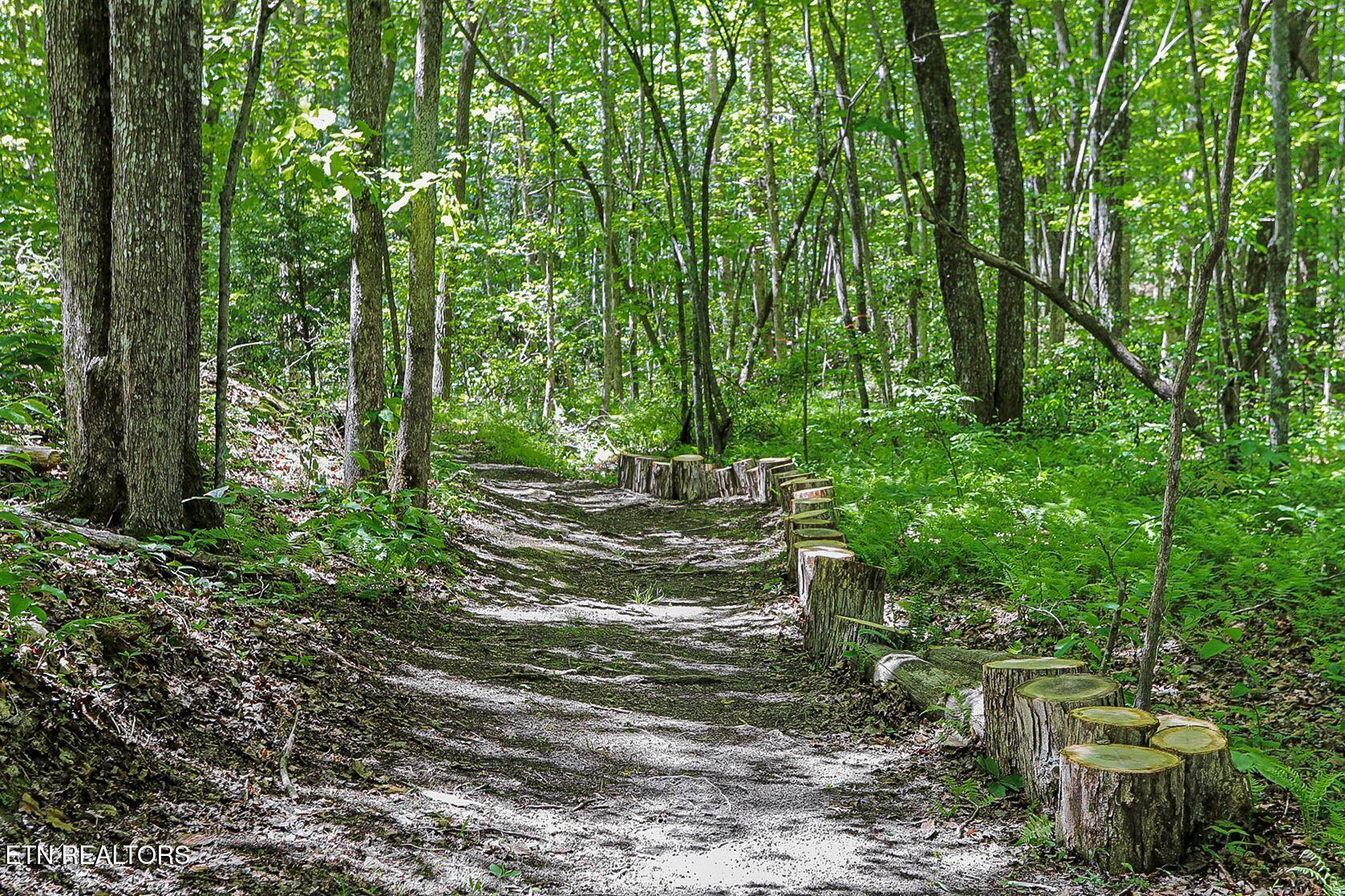 778 Stone Haven Trail Jamestown TN 38556