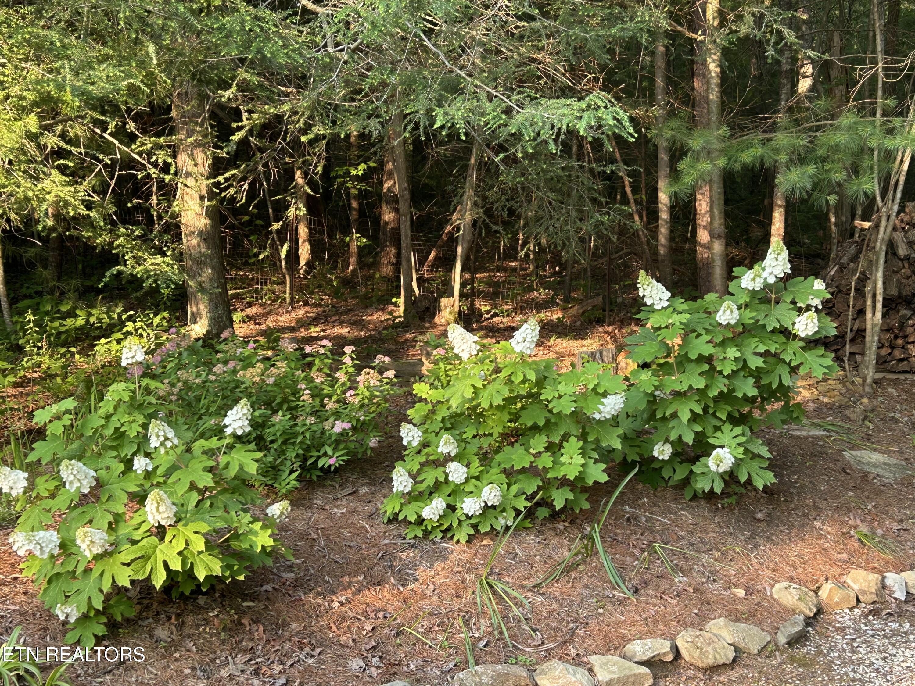 151 Gold Miners Road Tellico Plains TN 37385