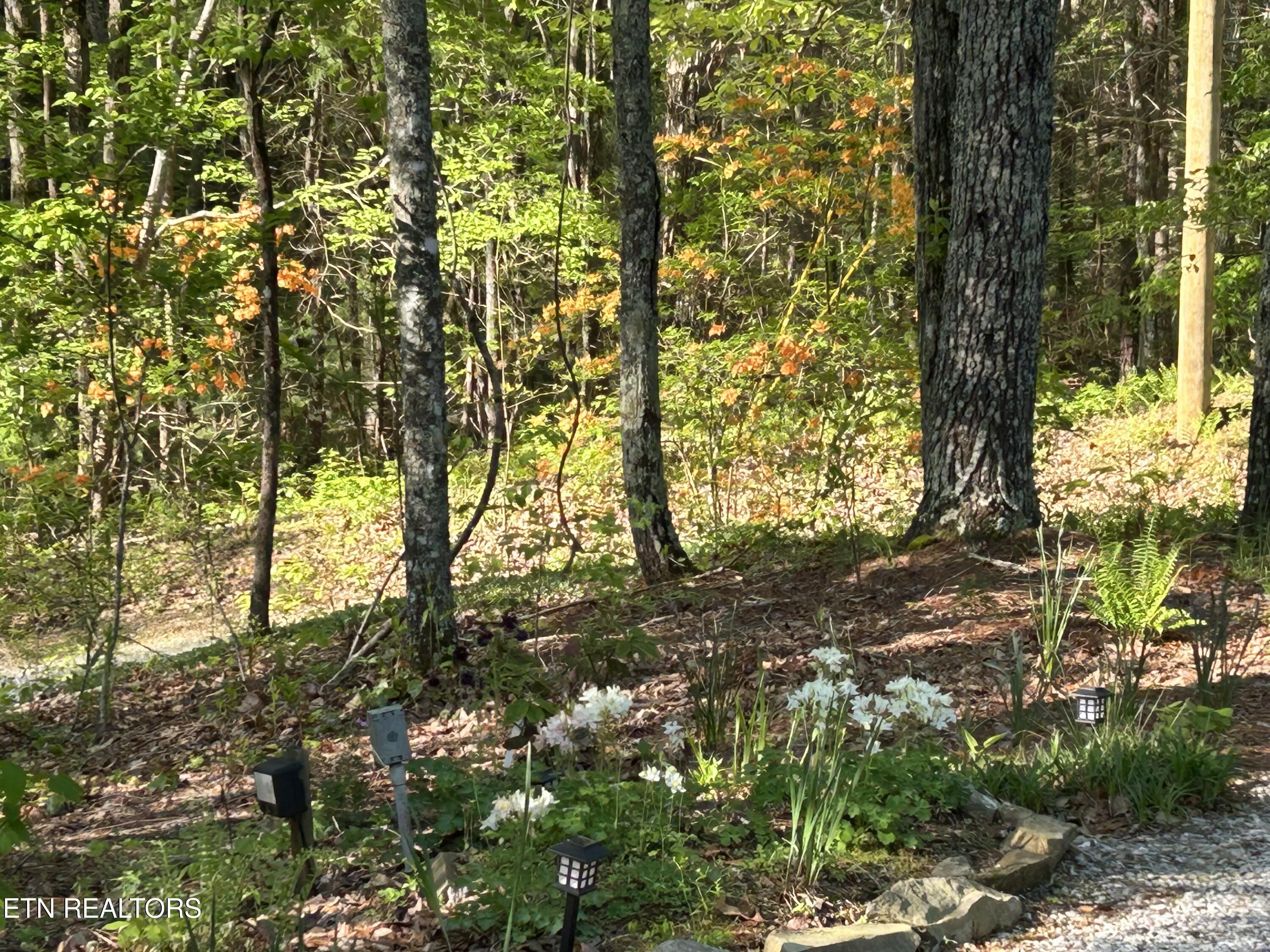 151 Gold Miners Road Tellico Plains TN 37385