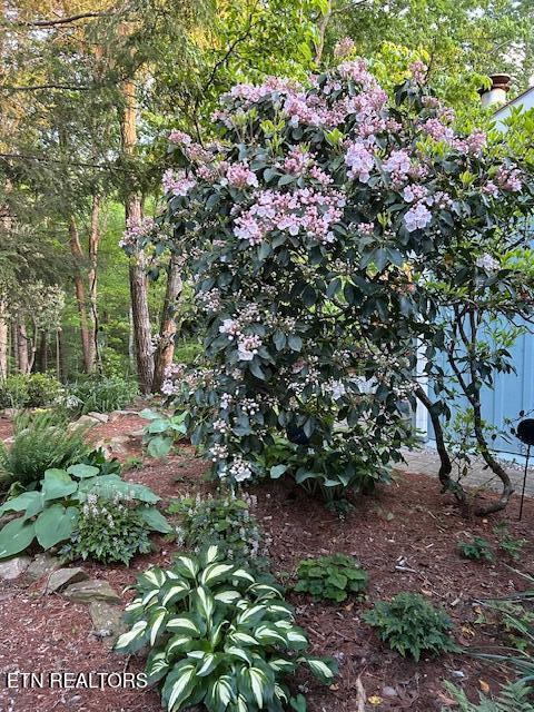 151 Gold Miners Road Tellico Plains TN 37385