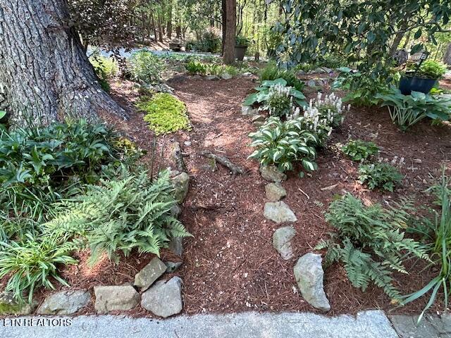 151 Gold Miners Road Tellico Plains TN 37385