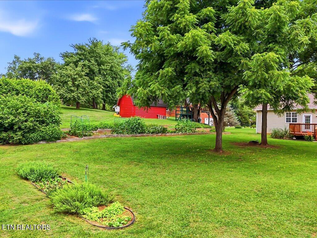 985 Claudette Drive Talbott TN 37877