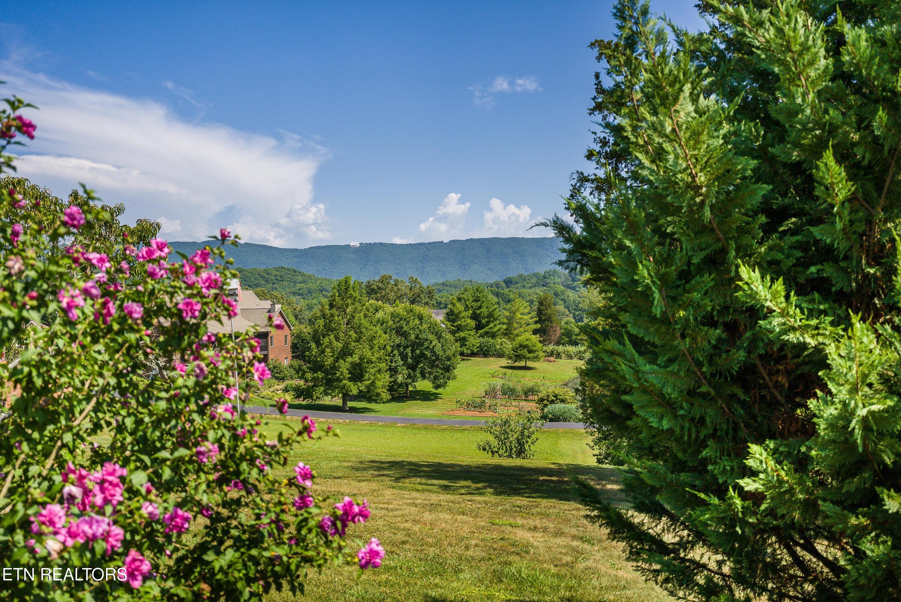 1551 Mint Meadows Drive Maryville TN 37803