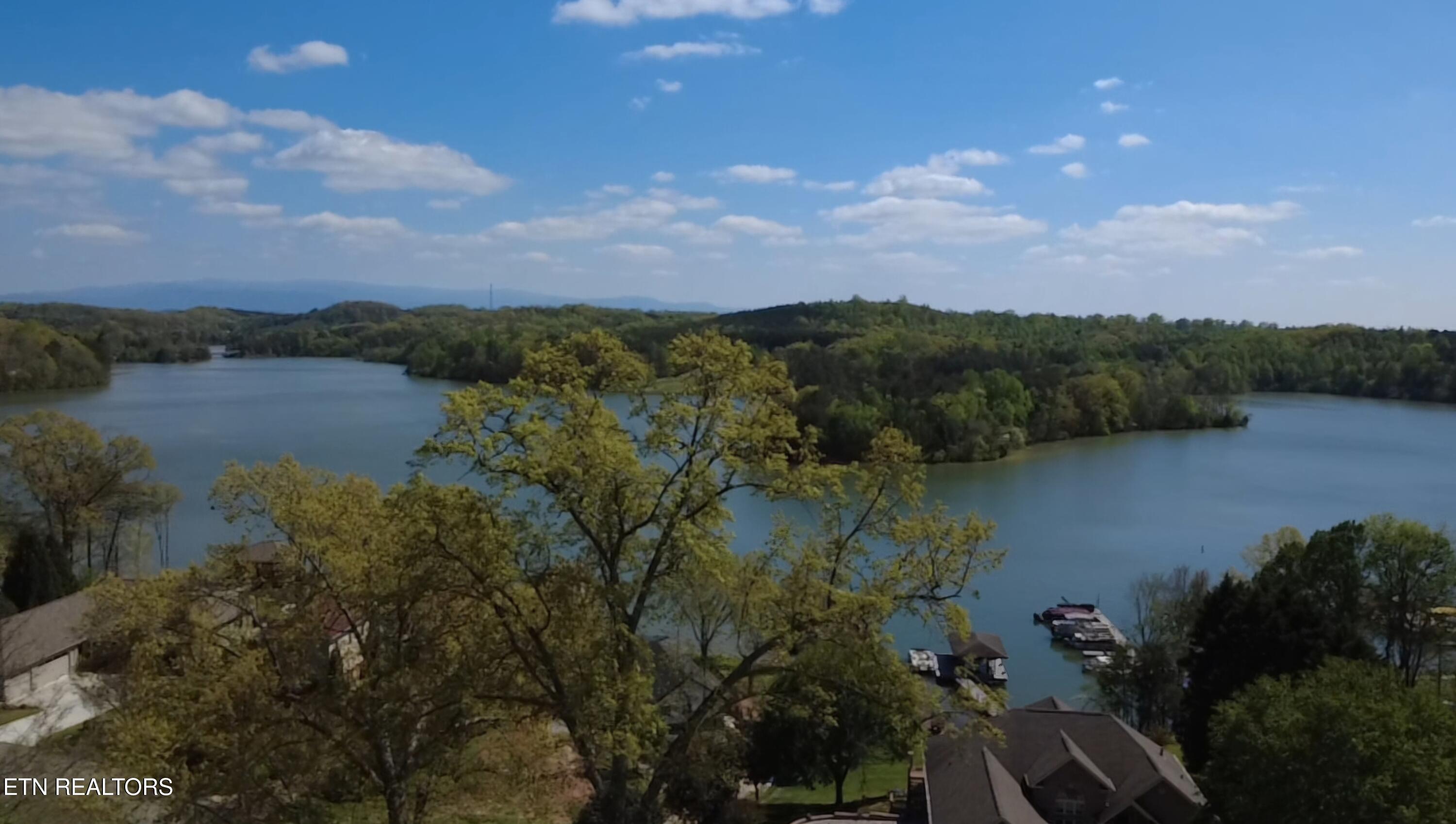 353 Southshore Drive Greenback TN 37742