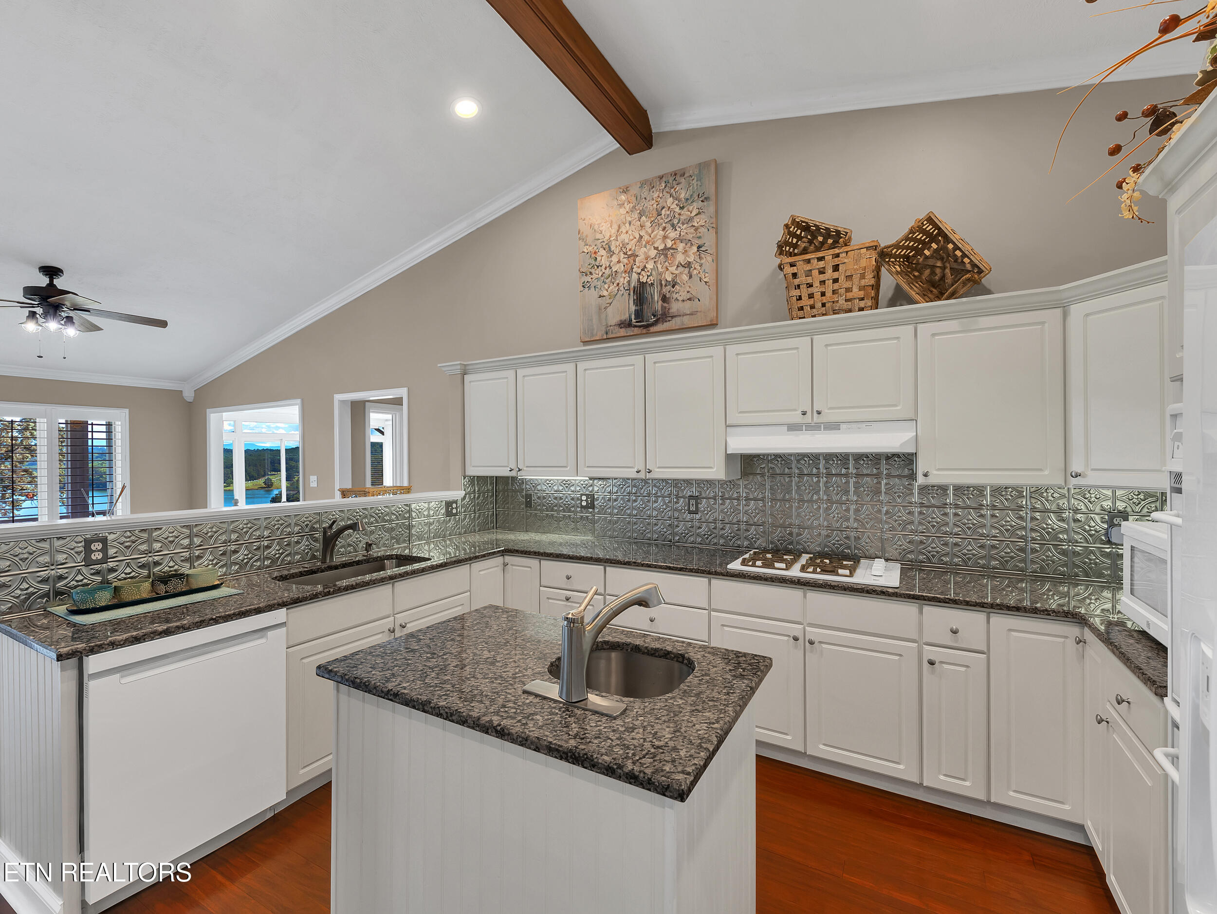 353 Southshore Drive Greenback TN 37742