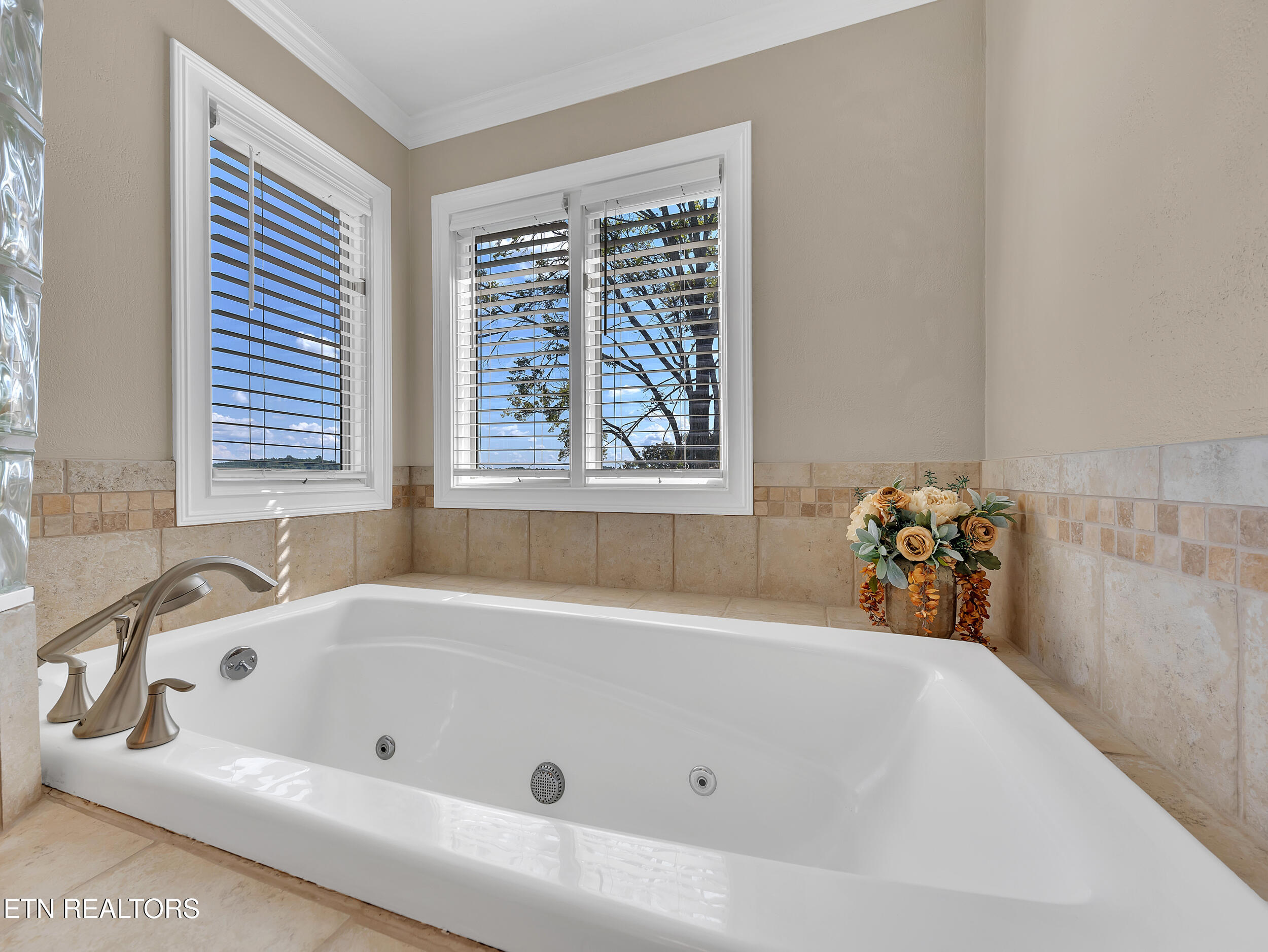 353 Southshore Drive Greenback TN 37742