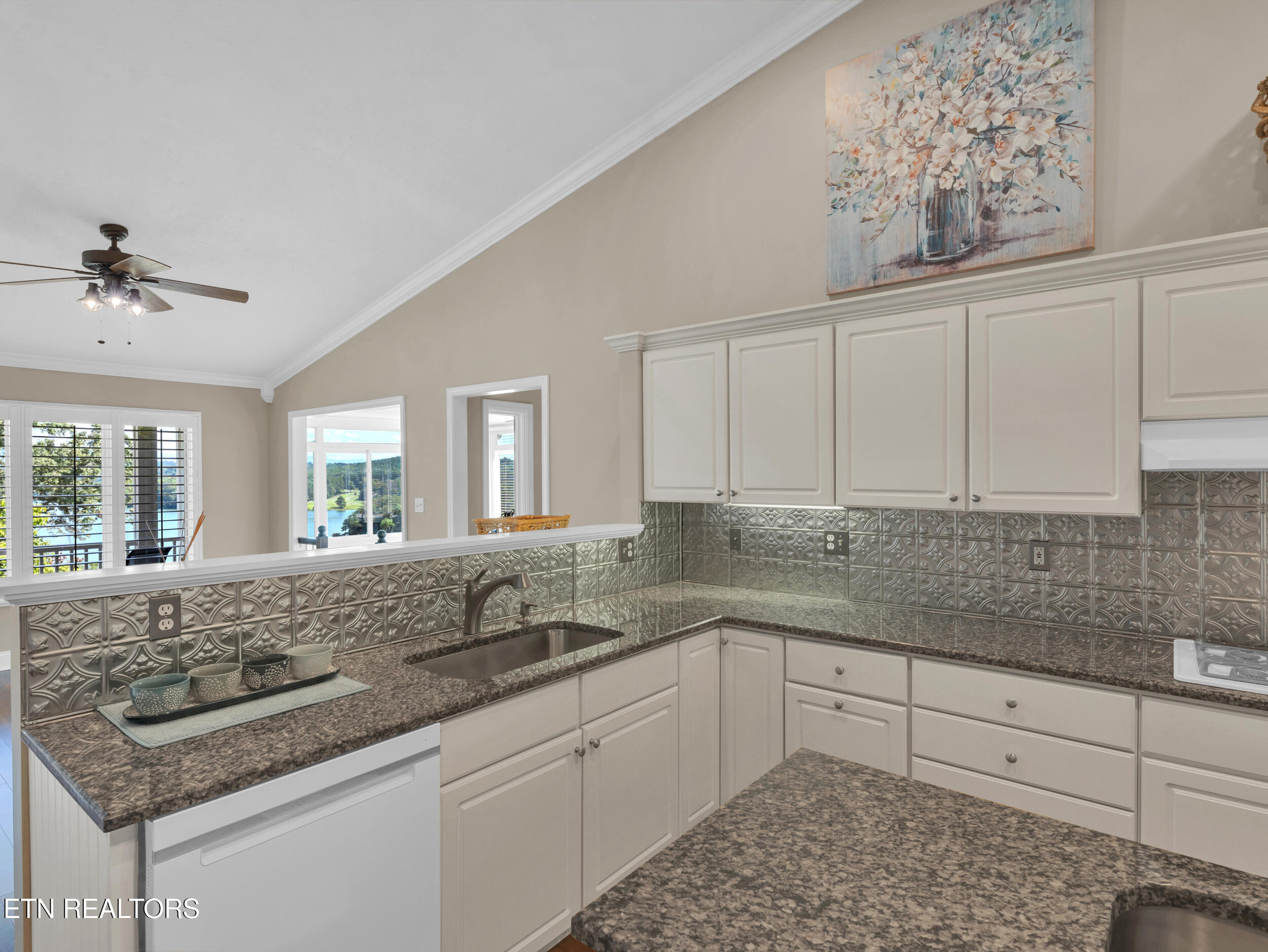353 Southshore Drive Greenback TN 37742