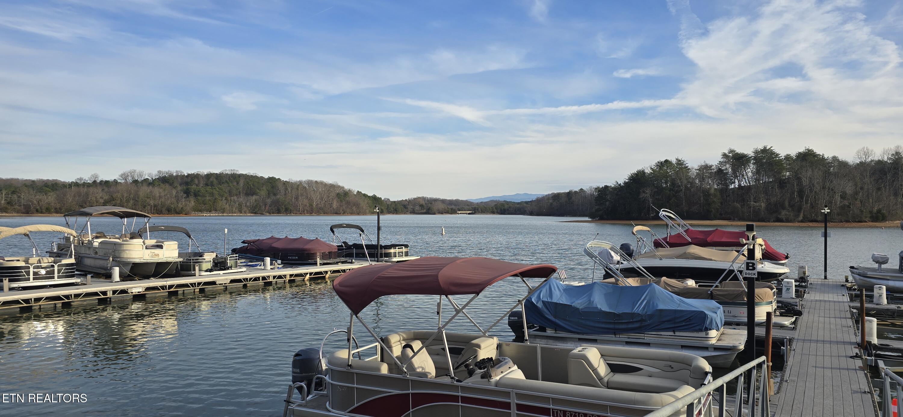353 Southshore Drive Greenback TN 37742