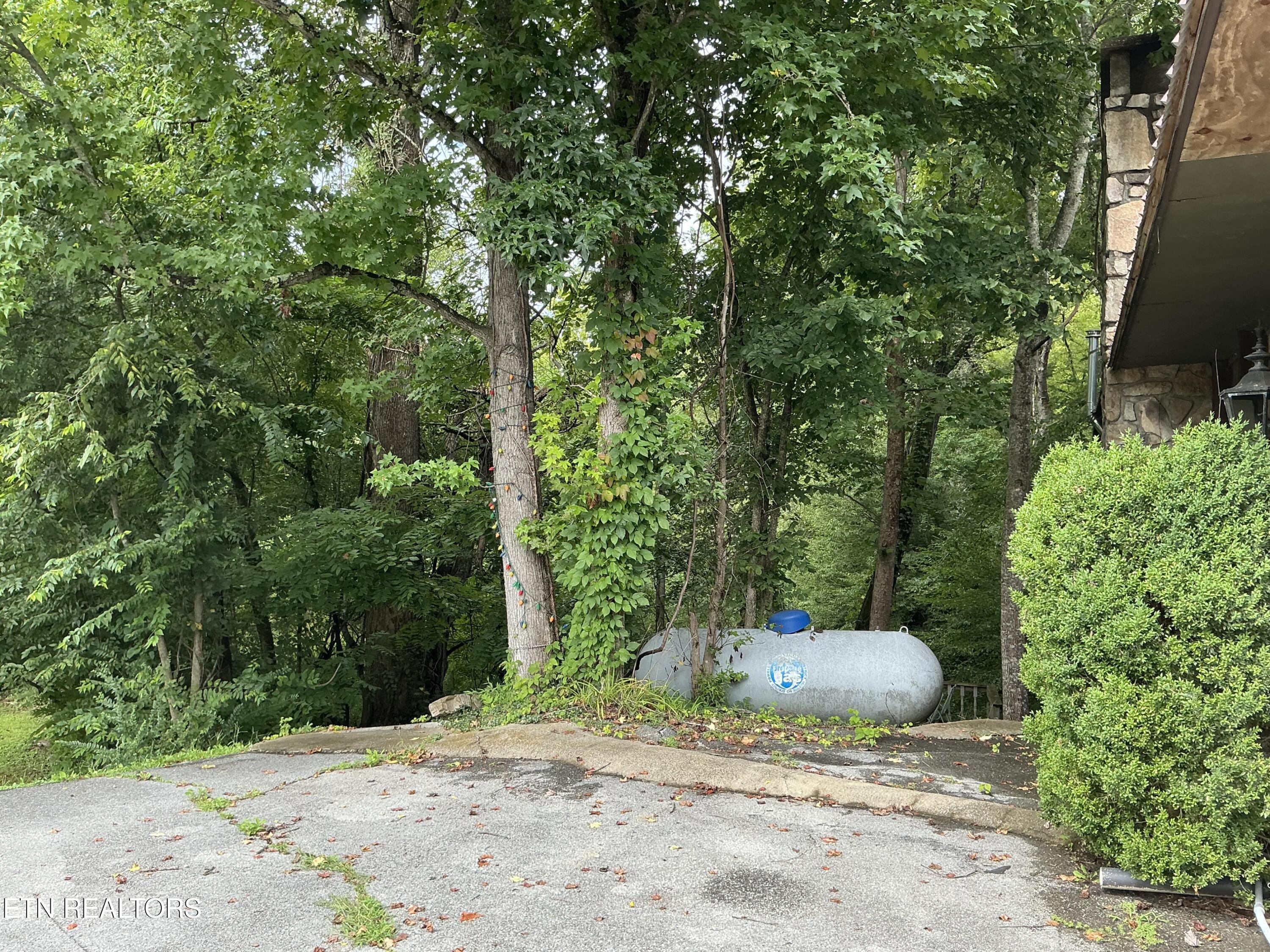 4390 Cosby Highway Cosby TN 37722