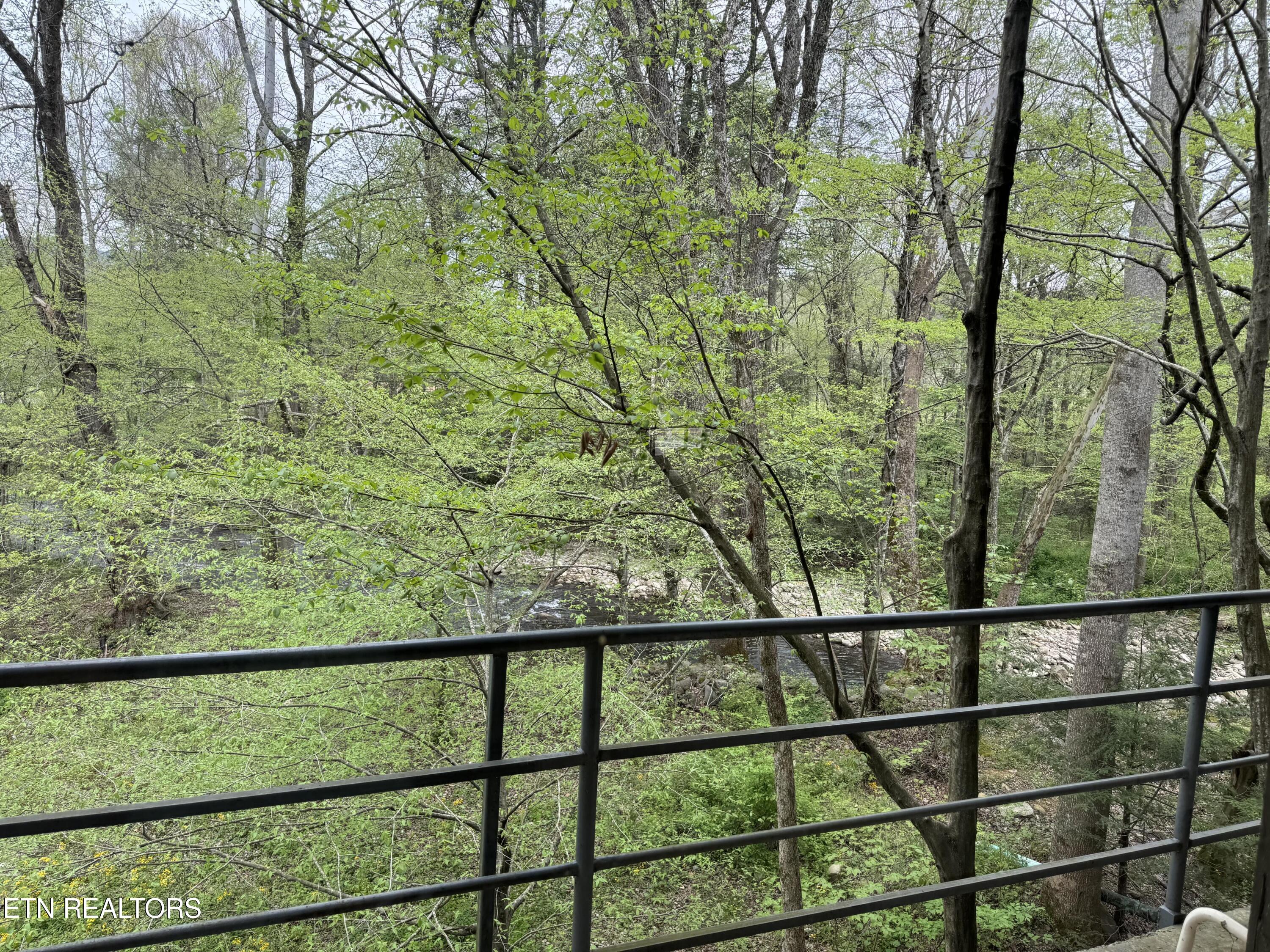 4390 Cosby Highway Cosby TN 37722