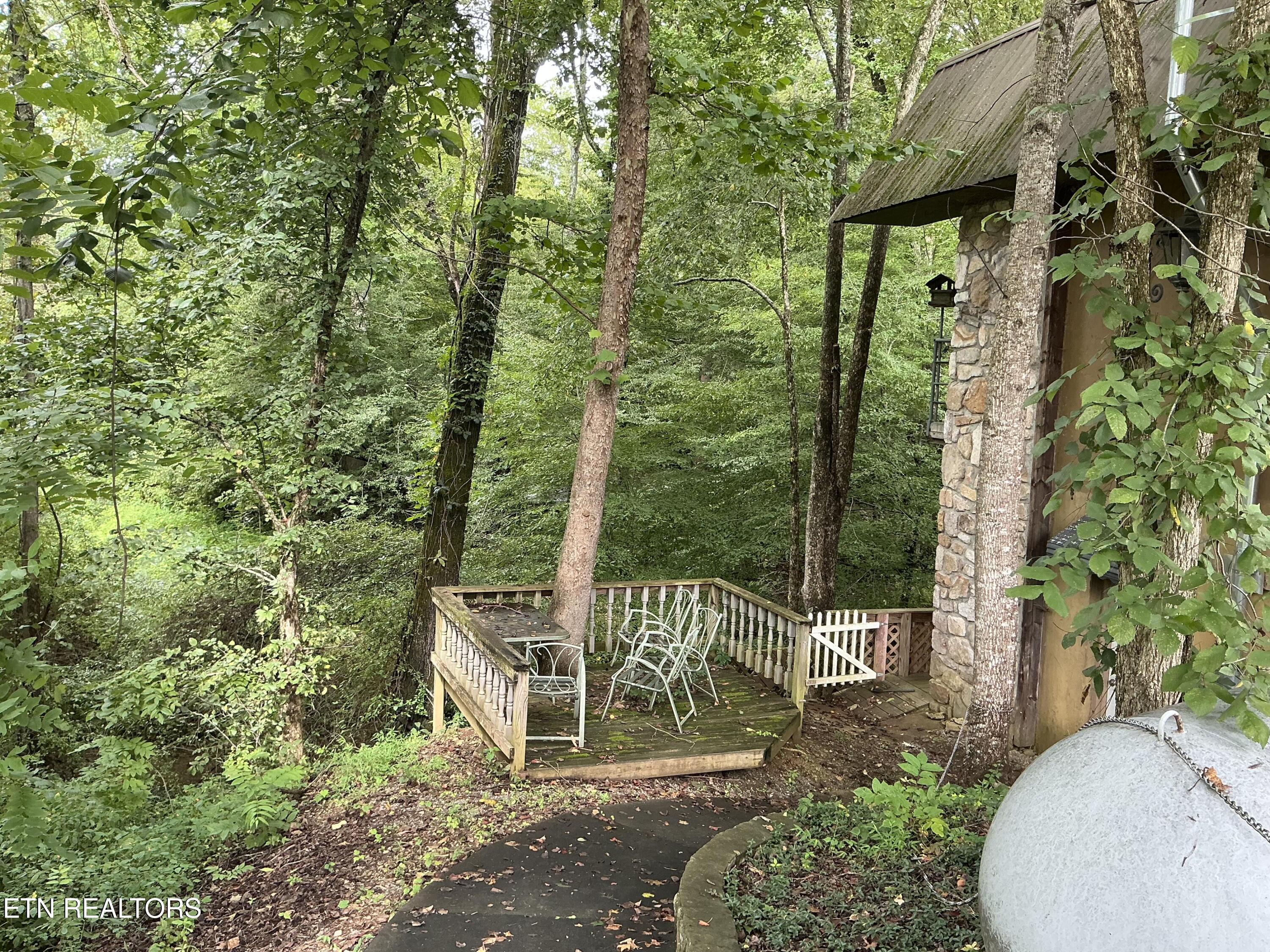4390 Cosby Highway Cosby TN 37722
