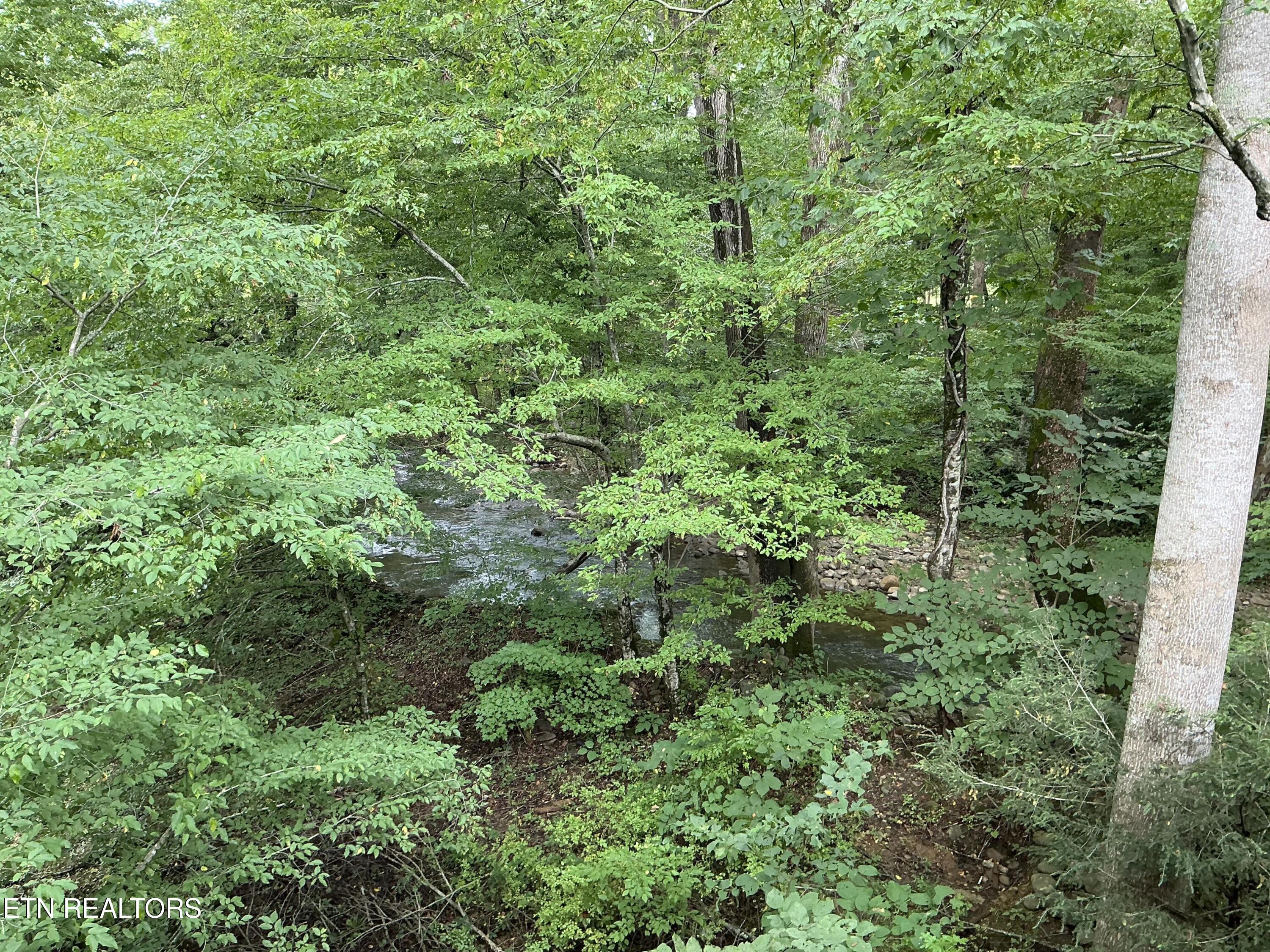 4390 Cosby Highway Cosby TN 37722