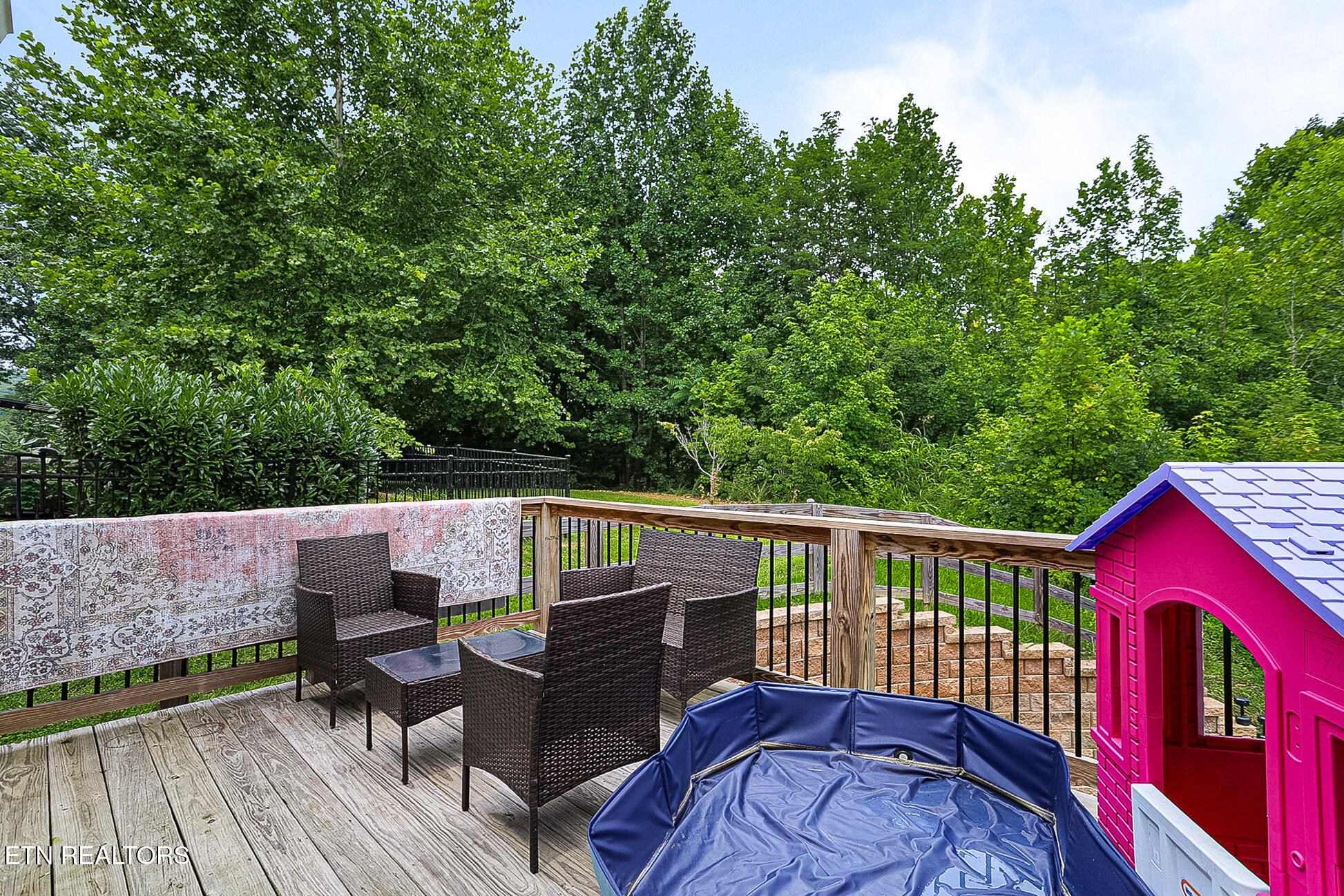 1117 Cedar Break Drive Knoxville TN 37932