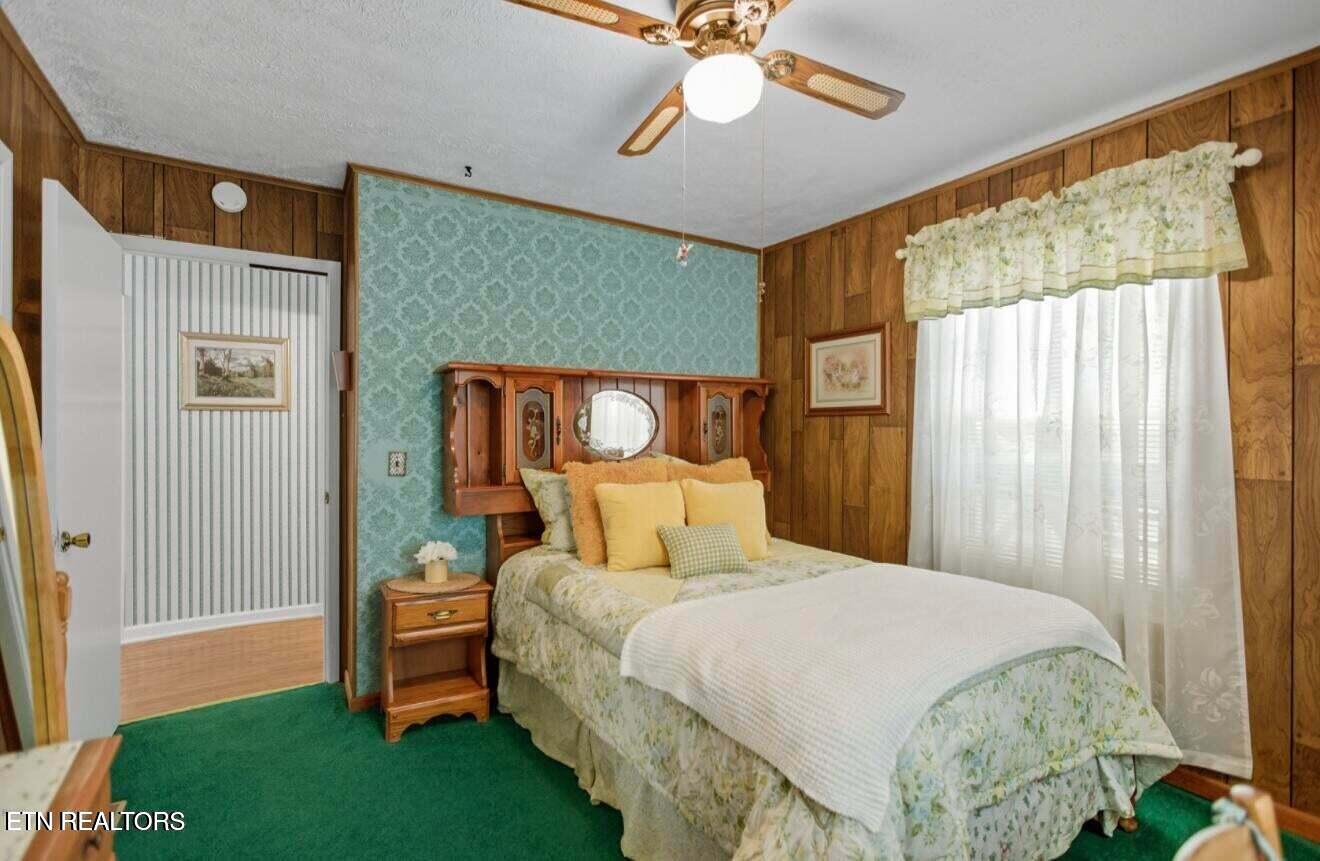 308 Mimosa Street Tazewell TN 37879