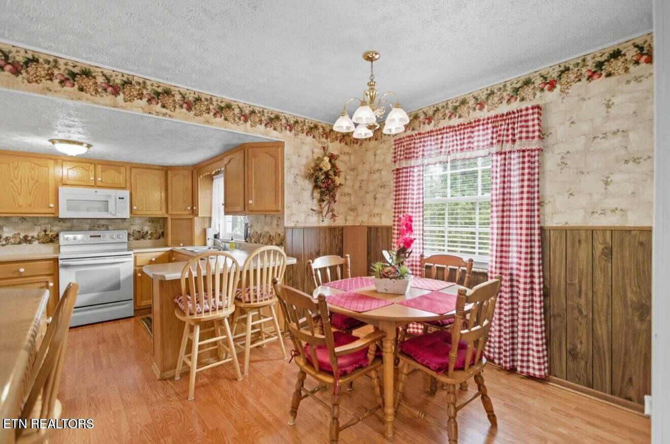 308 Mimosa Street Tazewell TN 37879