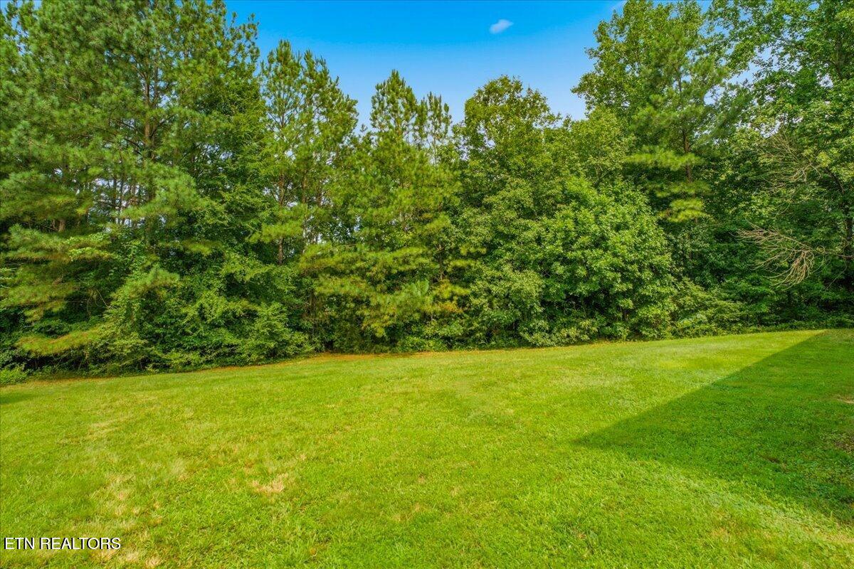 142 Oak Drive Kingston TN 37763
