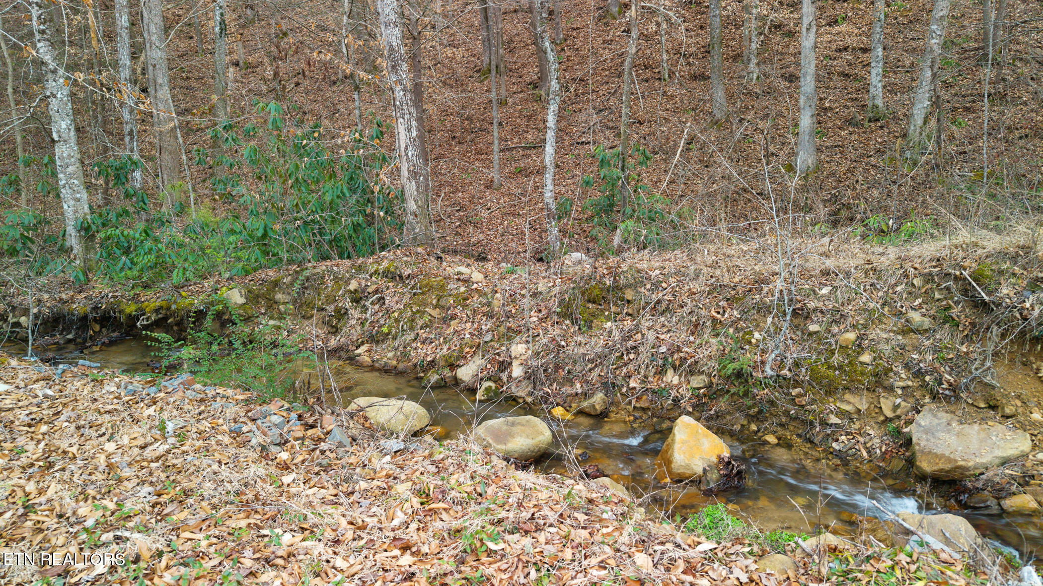 1853 Bluff Mountain Road Sevierville TN 37876